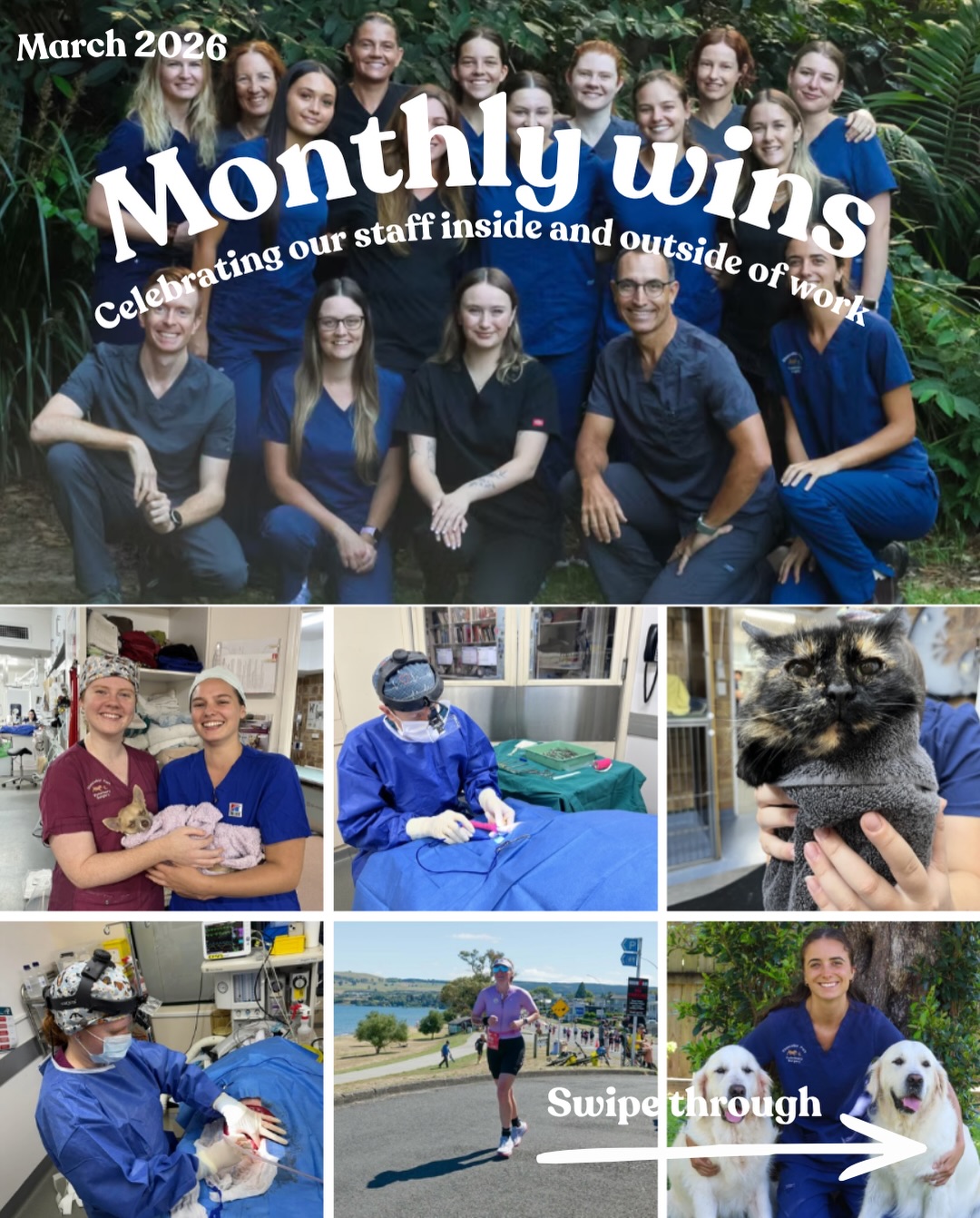 March wins at Chancellor Park Vet Surgery 🏆
Celebrating our staff inside, and outside of work 🤝