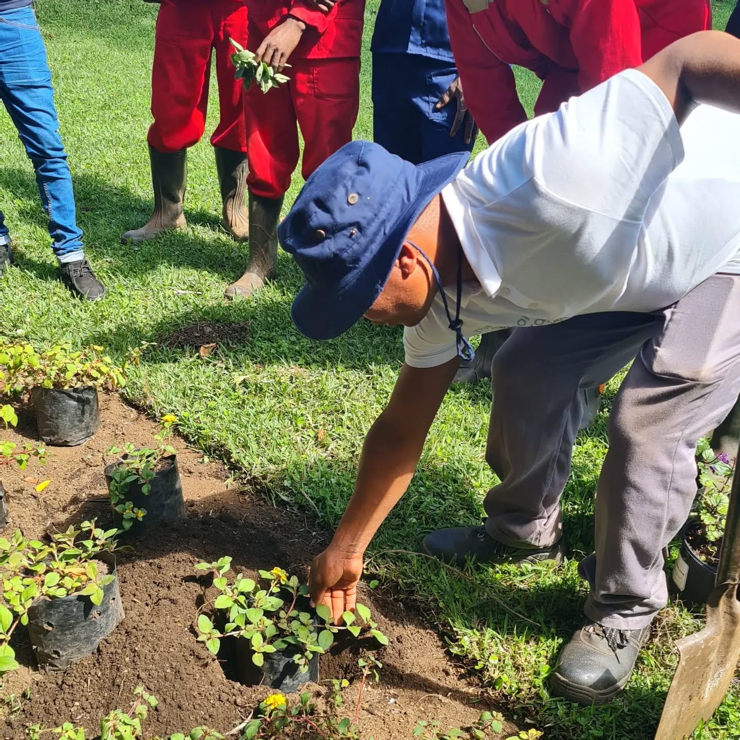 Another successful day of skills training in sustainable gardening techniques in KZN. Ingo@schoolofgardendesign.com #theschoolofgardendesign #skillstraining #gardentechniques #giftofknowledge