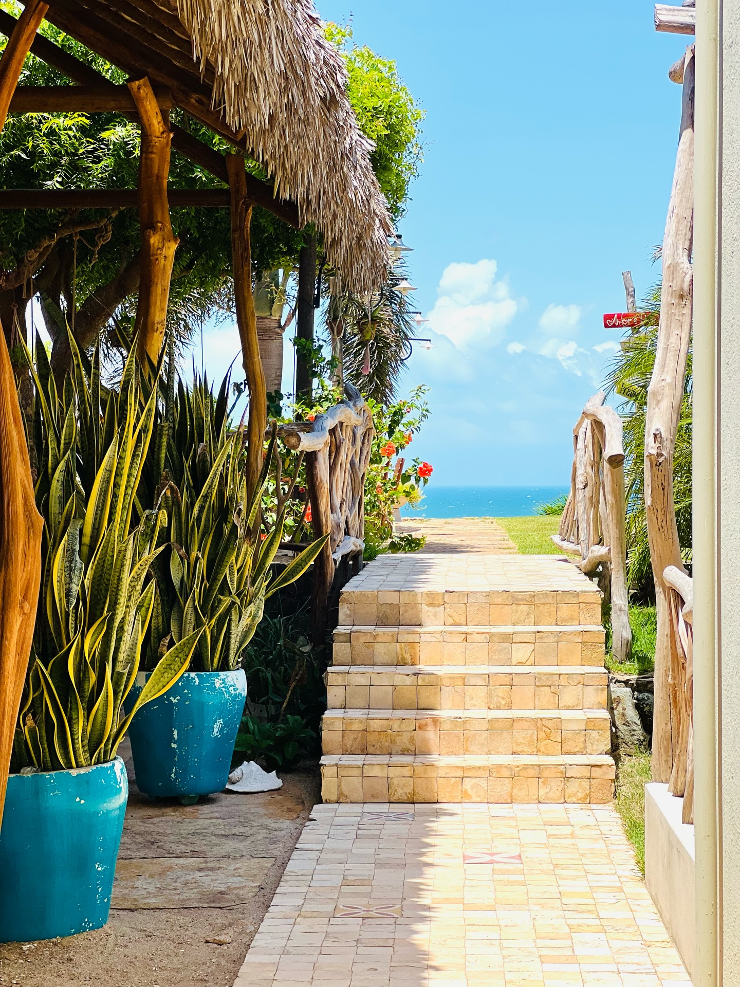 Descubre los pequeños detalles que hacen de este paraíso algo inolvidable. 🐚🌴 #DolceVitaGetaway #ParaísoSoñado #RincónDeSol