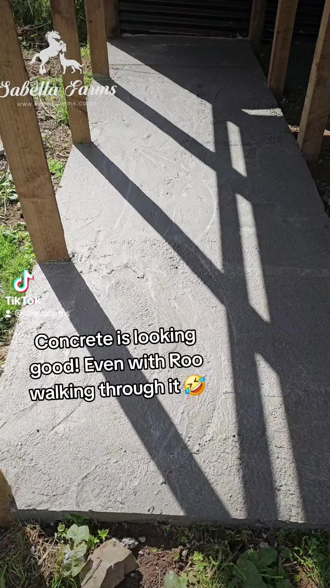 Concrete is looking good! Even though Roo walked all through it while it was wet 🤣🤣
#sabellafarms
#sabellafamily
#farmlife