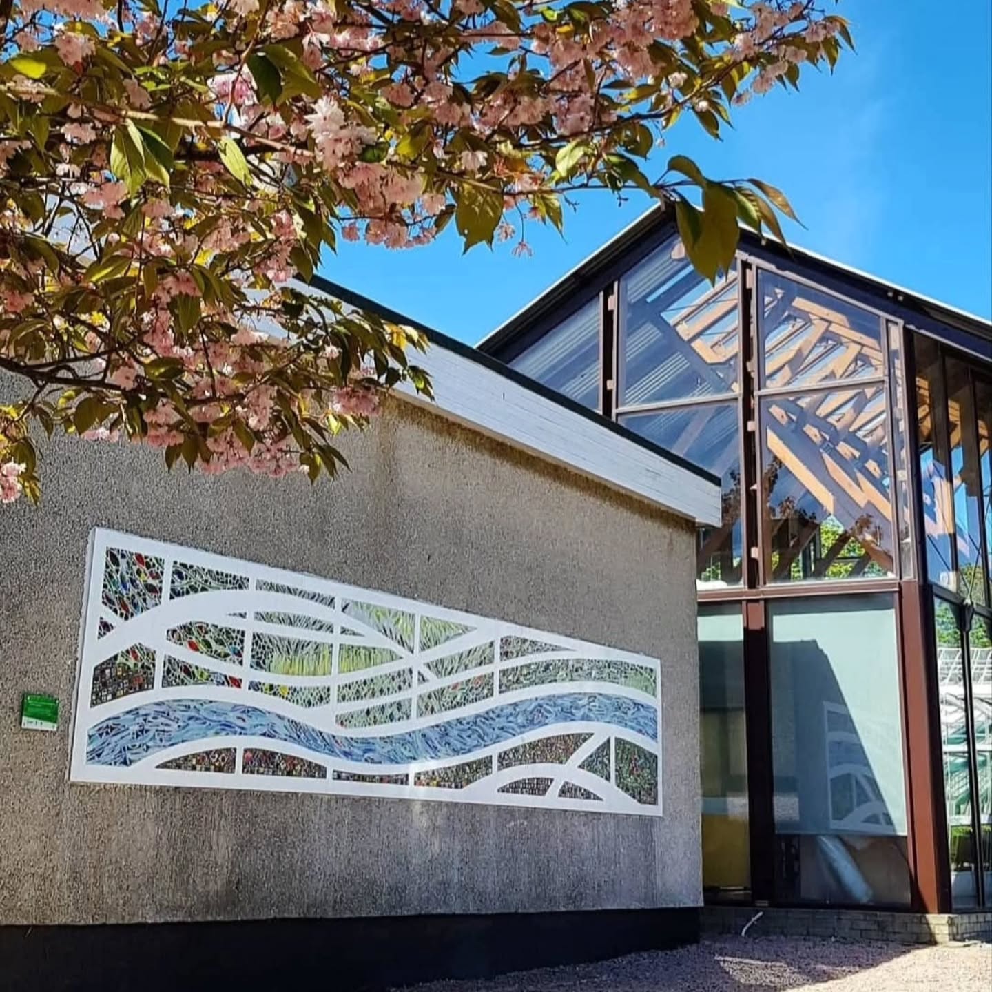 As Iโm about to move to the USA, Iโve found myself reflecting on the past few years and in particular some of the art pieces Iโve been lucky enough to create in Aberdeen.
A piece of me will always belong there. Every sculpture, every installation holds a memory โ not just of the work itself, but of the people who supported and contributed along the way!
Iโm incredibly grateful for that support over the years. Itโs not something I take lightly, and itโs helped shape everything Iโve done.
As I start this new chapter, it means a lot to know Iโm leaving behind a legacy of work that will (hopefully!) be enjoyed for years to come โค๏ธ