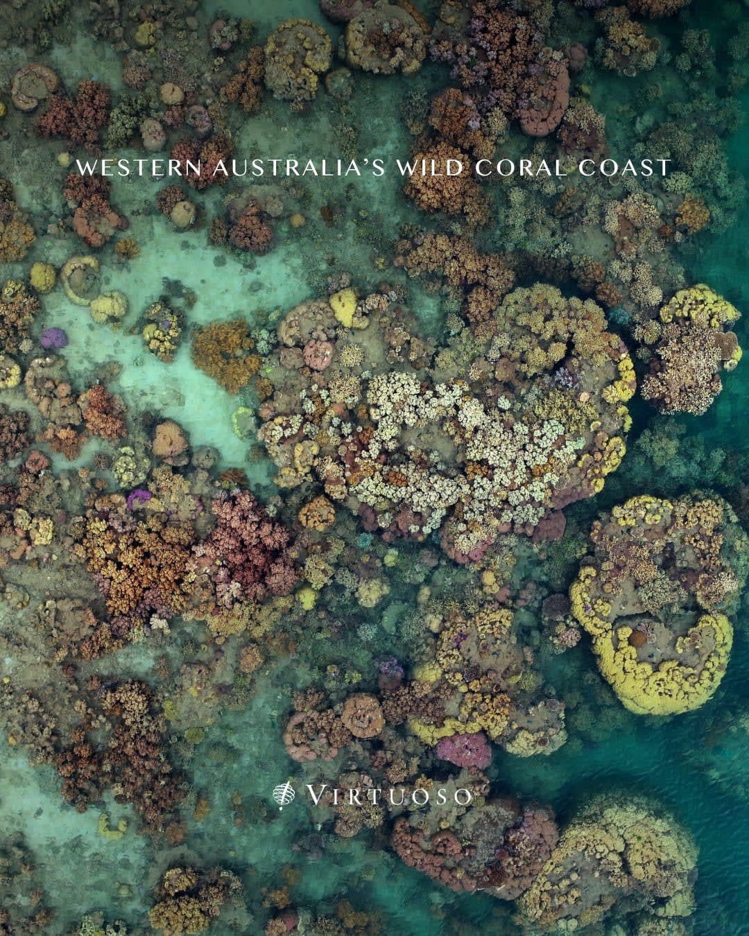 Explore Western Australia’s wild coral coast on an intimate small-ship expedition. From the Dampier Archipelago’s ancient petroglyphs to Ningaloo’s reef sanctuaries and the remote Abrolhos Islands, each day reveals rare wildlife, rich marine life, and cultural heritage led by expert guides. 🇦🇺🪸🏝️
Reach out to plan your next getaway:
(647) 576-7110
info@wayyzatravel.com
#VirtuosoTravel
#bookwithwayyza #thewayyzaway