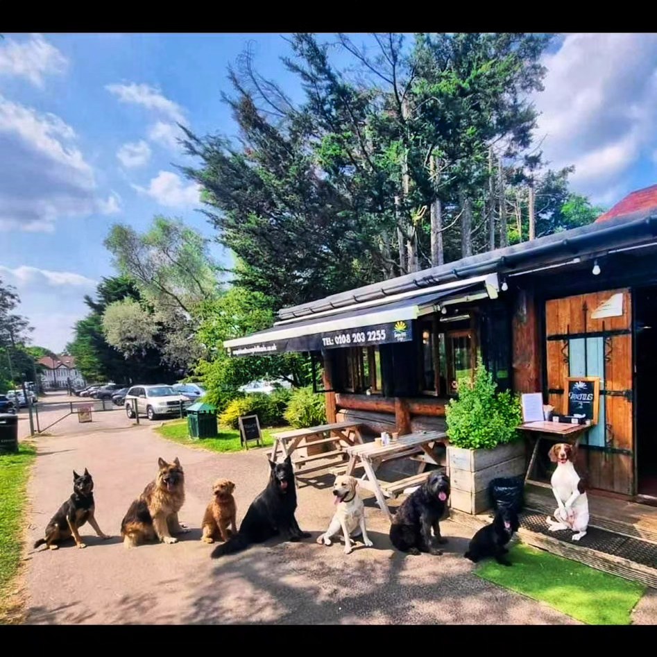 Suns out βοΈ Tongues out π
Please form a paw-derly queue πβπ¦Ίππ©πΆπΎ
We have enough doggy ice cream and chews for all!
.......................................................................................
#sunnyhillcafe #sunnyhillpark #instacafe #parkcafe #londonparks #doglover #dogtrainer #dogwalk #doglife #dogpage #dogoftheday #dogicecream #dogtreats #dogqueue #dogs #dogsofinstagram