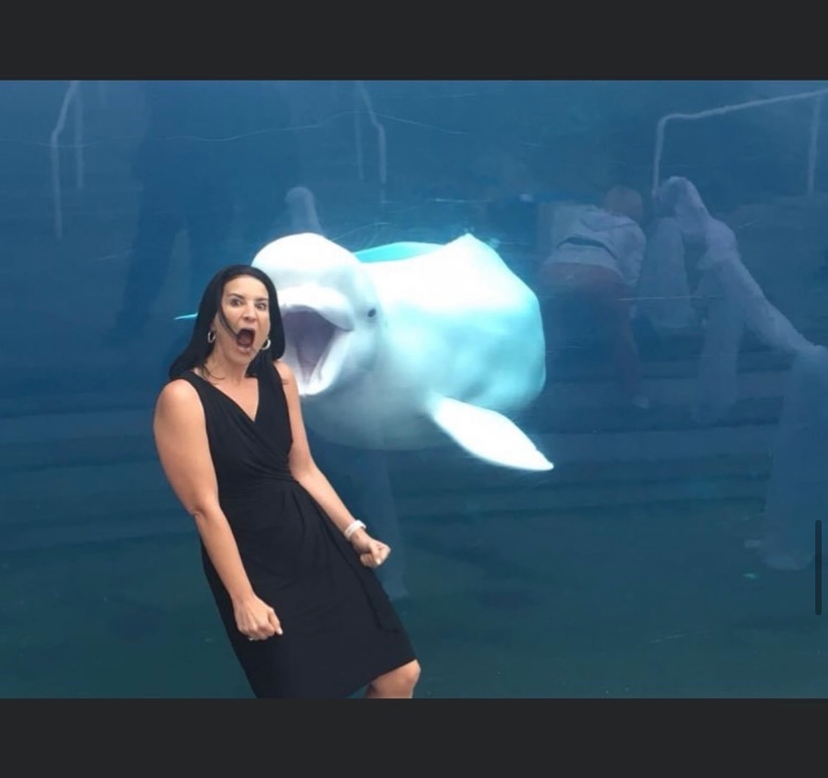 One of the most unique weddings I have ever officiated was Mystic Aquarium! Couples get married in front of the beluga whale exhibit. This particular whale was so animated! @mysticaquarium
Wedding Officiant | CT Wedding Celebrant | Personalized Ceremonies | Justice of the Peace | Destination Weddings | Elopements | Vow Renewals | Wedding Day Officiant | Marriage Celebrant | Hartford CT
Sarah Sullivan is a wedding officiant and Justice of the Peace based in Connecticut who creates personalized, meaningful wedding ceremonies for couples locally and beyond. She specializes in custom wedding scripts, elopements, and destination weddings that reflect each couple’s unique love story.