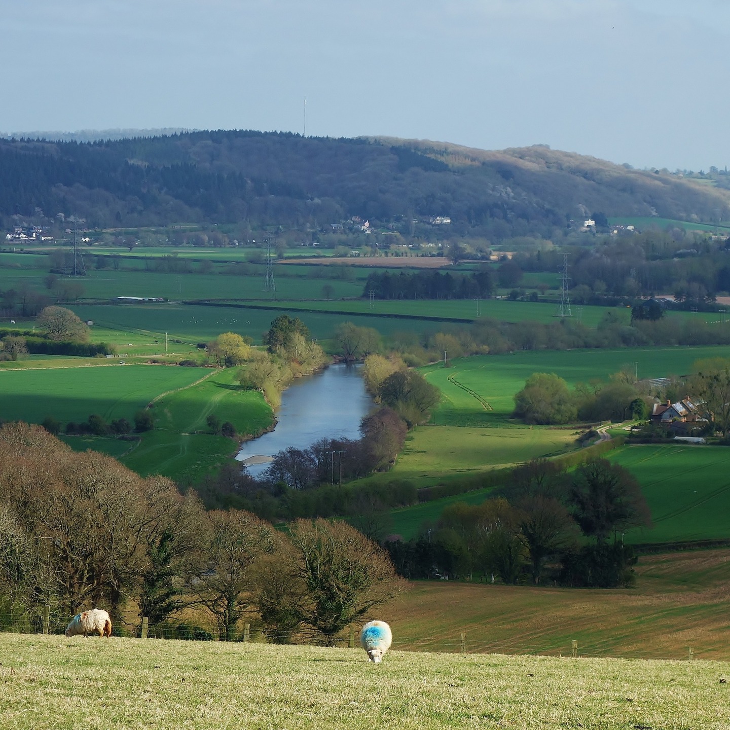 A simple walk in March around the Wye Valley Area near Hereford. Local and proud. #wyevalley #wye #march #springtime #springwalk