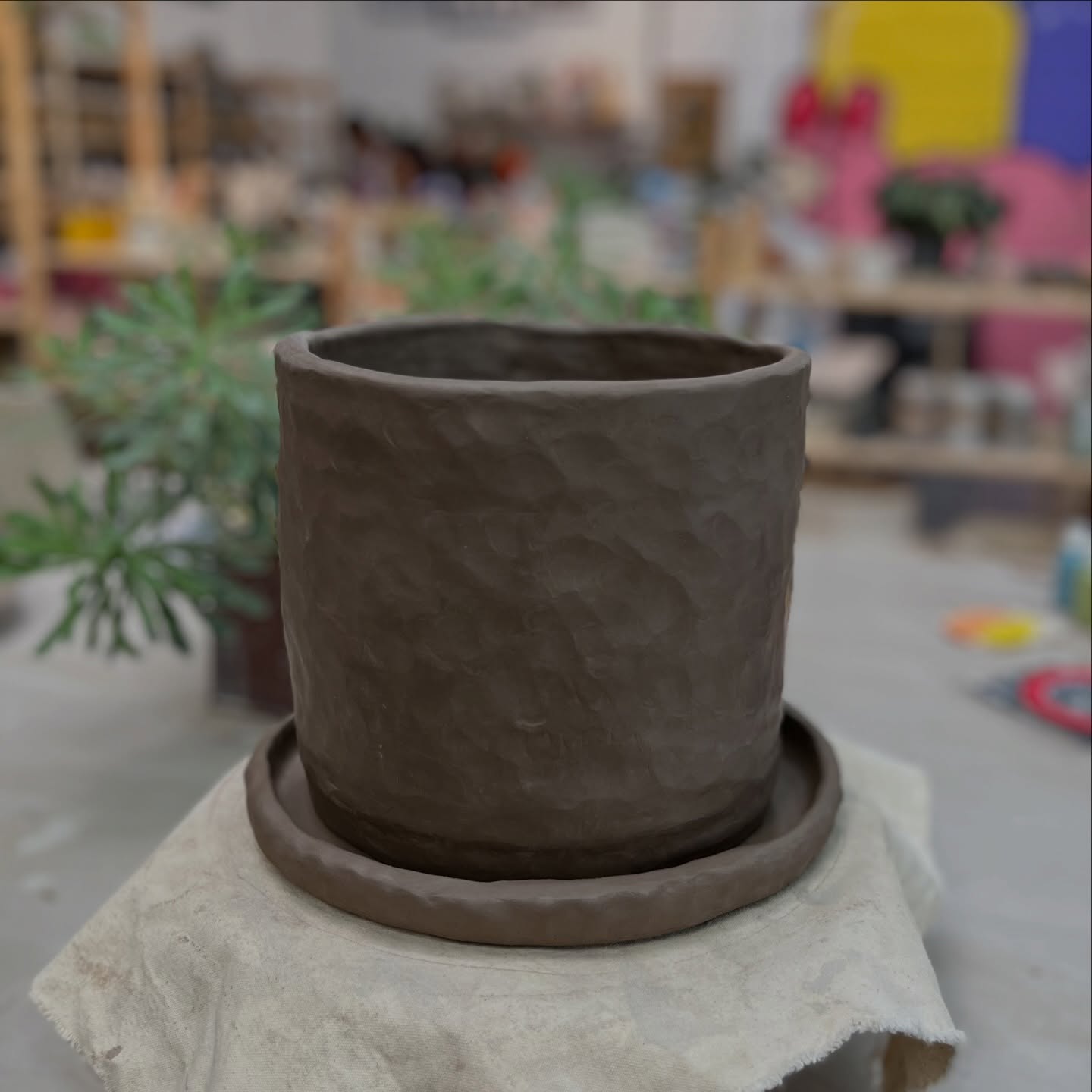 🪴Coil planter workshop🪴Sunday 29th March 1.30-3.30pm - book your space online ✨