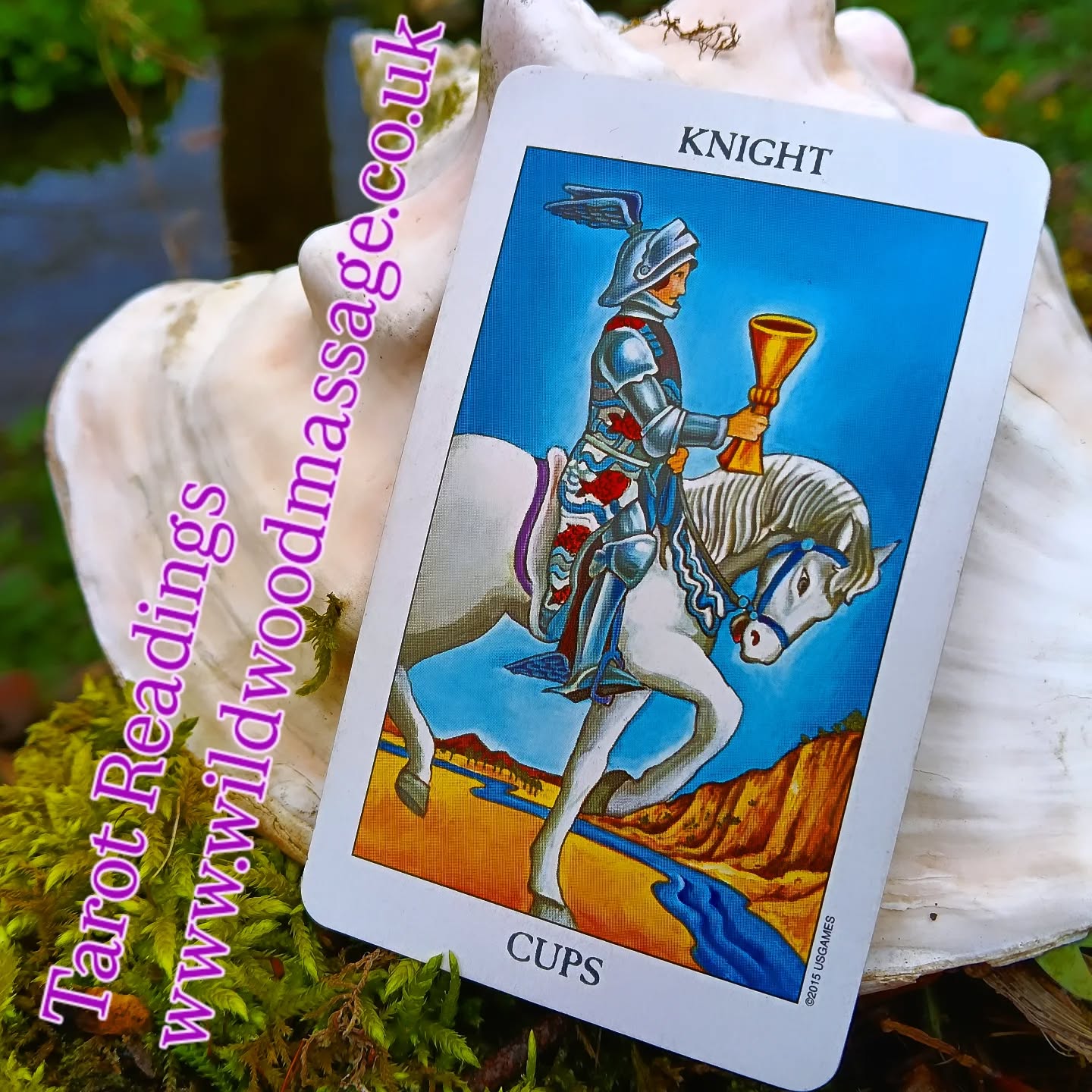 The hidden symbolism behind the Knight of Cups: A card which can reveal an inner conflict.
The Knights are committed to action, yet here, although the rider wears the wings of Hermes the swift messenger, his stance and that of his horse is at odds and is seen to be conflicted as the horse is held back.
There is a small river flowing through a parched land yet the horse appears rigid at its bank.
A dreamy, person full of promise, full of empathy, charm and compassion, poetic, creative yet he can be disconnected from reality and unable to take real action, preferring to stay in the realms of imagination.
In its reversed aspect he can indicate manipulation lies and trickery.
#tarotcards #tarotreadersofınstagram #hebdenbridge #tarot #tarotreading