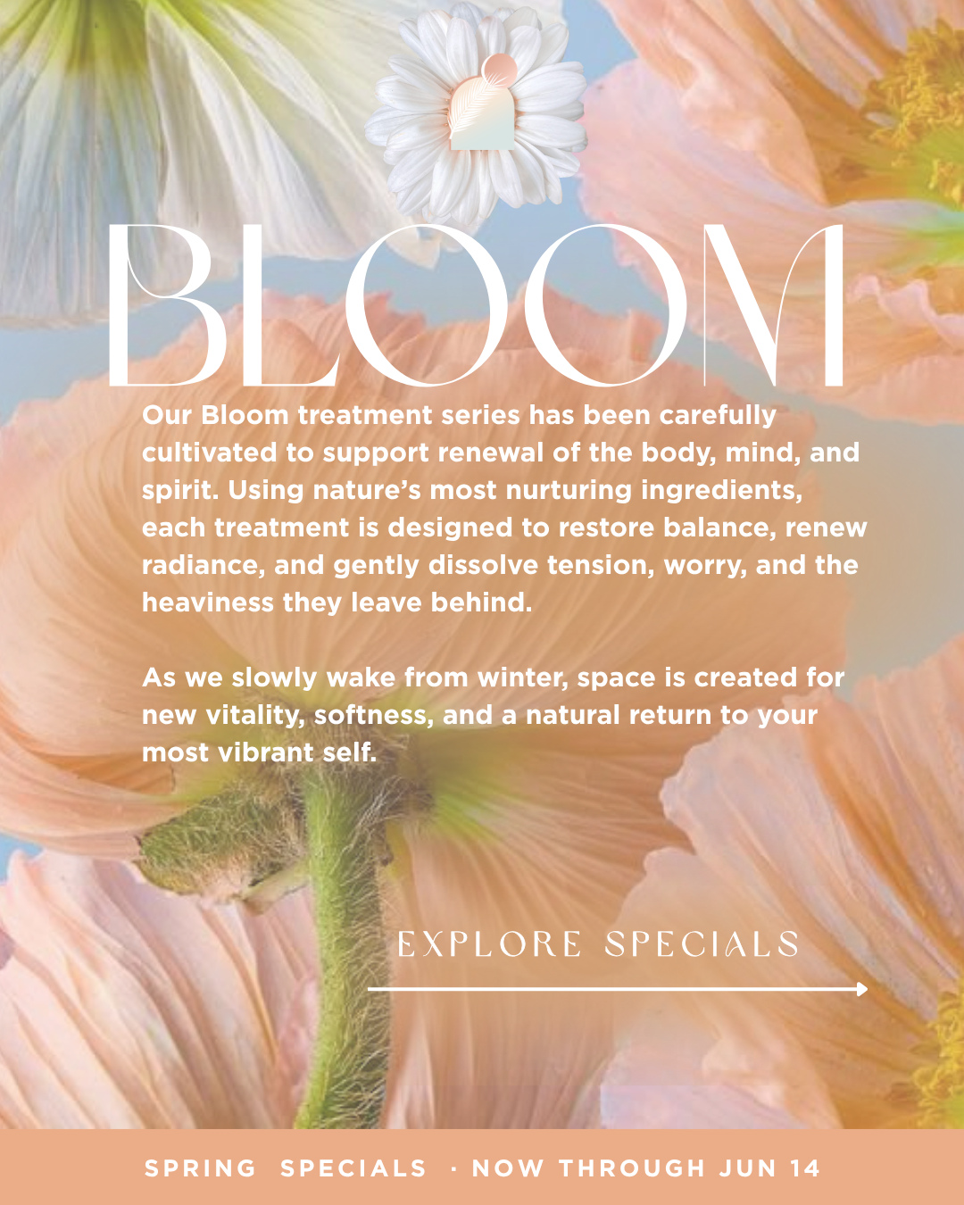 Spring always brings a quiet shift. 🌬️🍃
A little more light. ☀️
A little more energy. 💫⚡☁️
A soft pull to come back to yourself. 💚