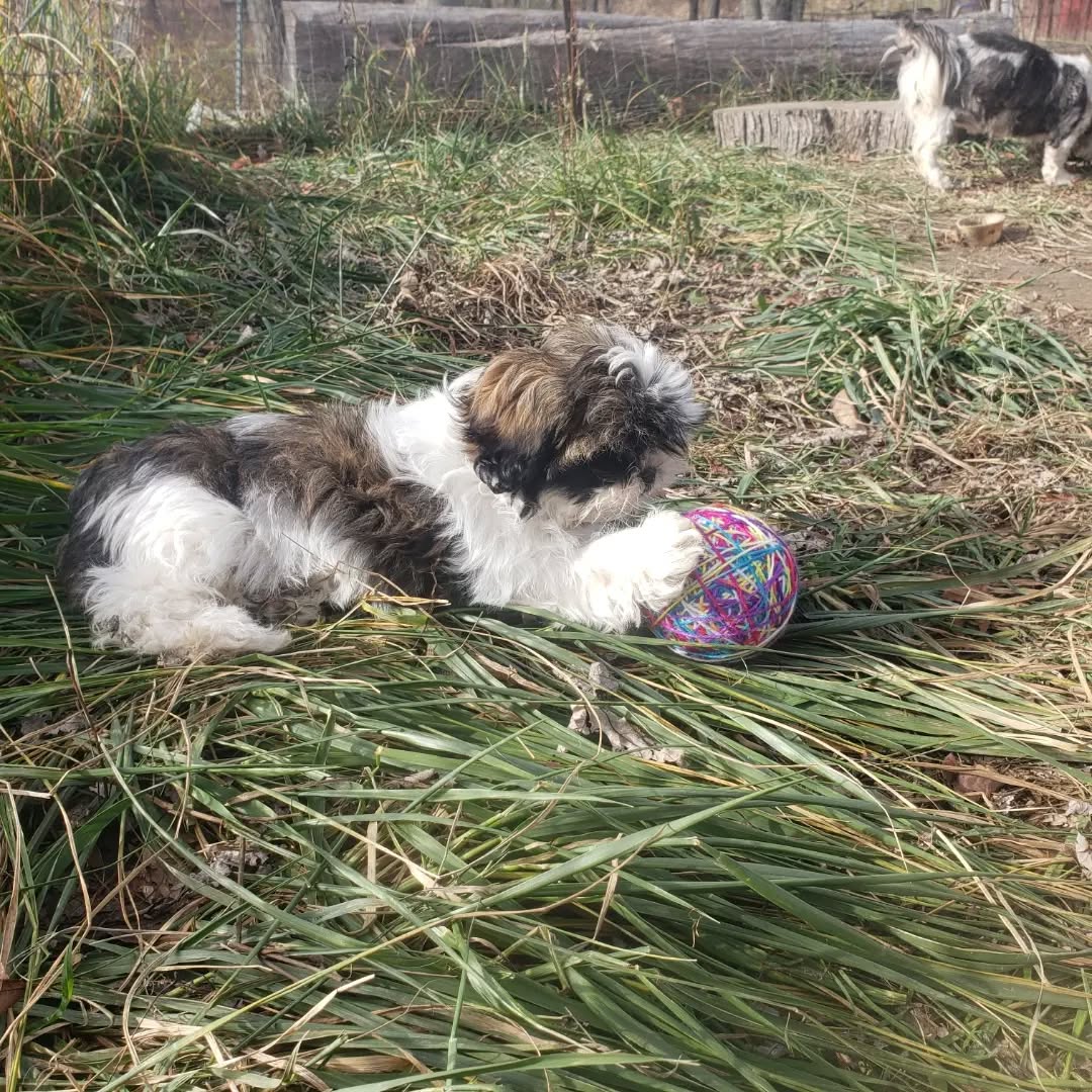 Its a perfect sunny Saturday when you have a new toy!