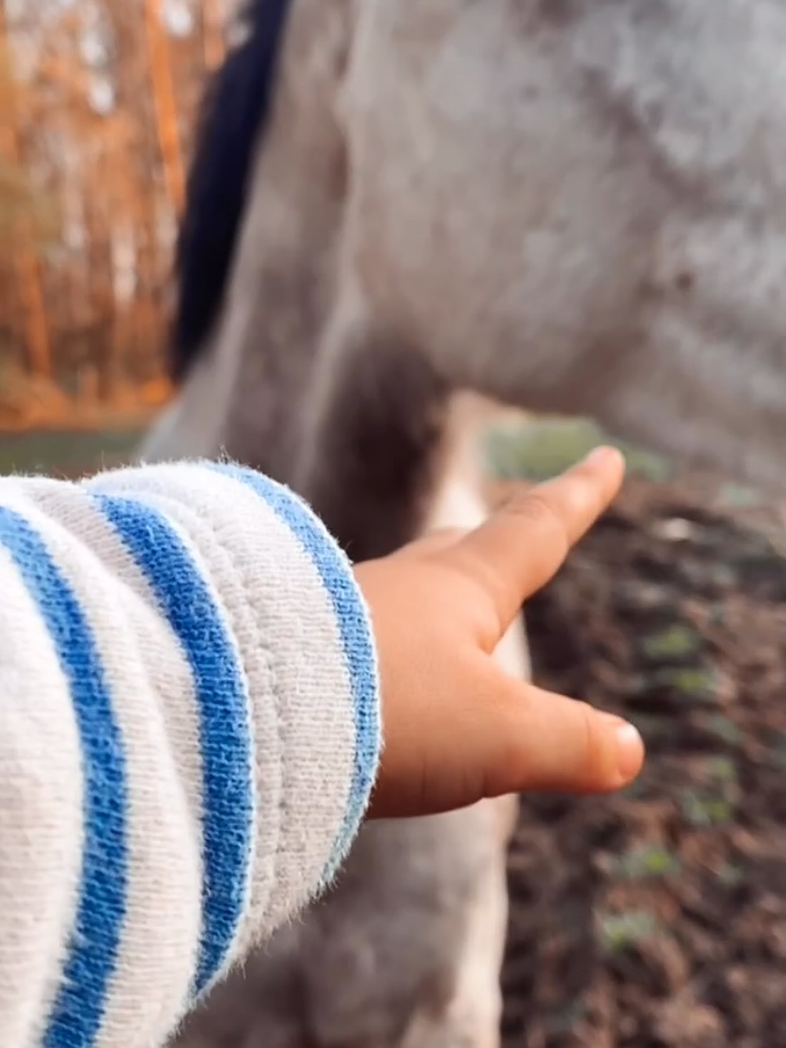 • CETTE PETITE MAIN •
Que j’aime tant couvrir de baisers.
Qui fait rouler des petites voitures pendant des heures.
Qui peint.
Qui caresse.
Qui découvre.
Qui cueille des fleurs.
Qui offre.
Qui dit « aurevoir maman ».
Ou « aurevoir docteur, gros bisous ».
(Ça nous a valu un petit fou rire post vaccin 🥲)
Cette main si petite qui demande à être enveloppée par la mienne pour s’endormir le soir.
Je sais qu’un jour, elle sera bien plus grande que la mienne.
Je sais aussi que ce jour arrivera le temps de dire « ouf » comme on dit.
Alors je déguste chaque moment et m’émerveille de tout ce que la vie nous offre de partager tous les deux.
🫶🏼