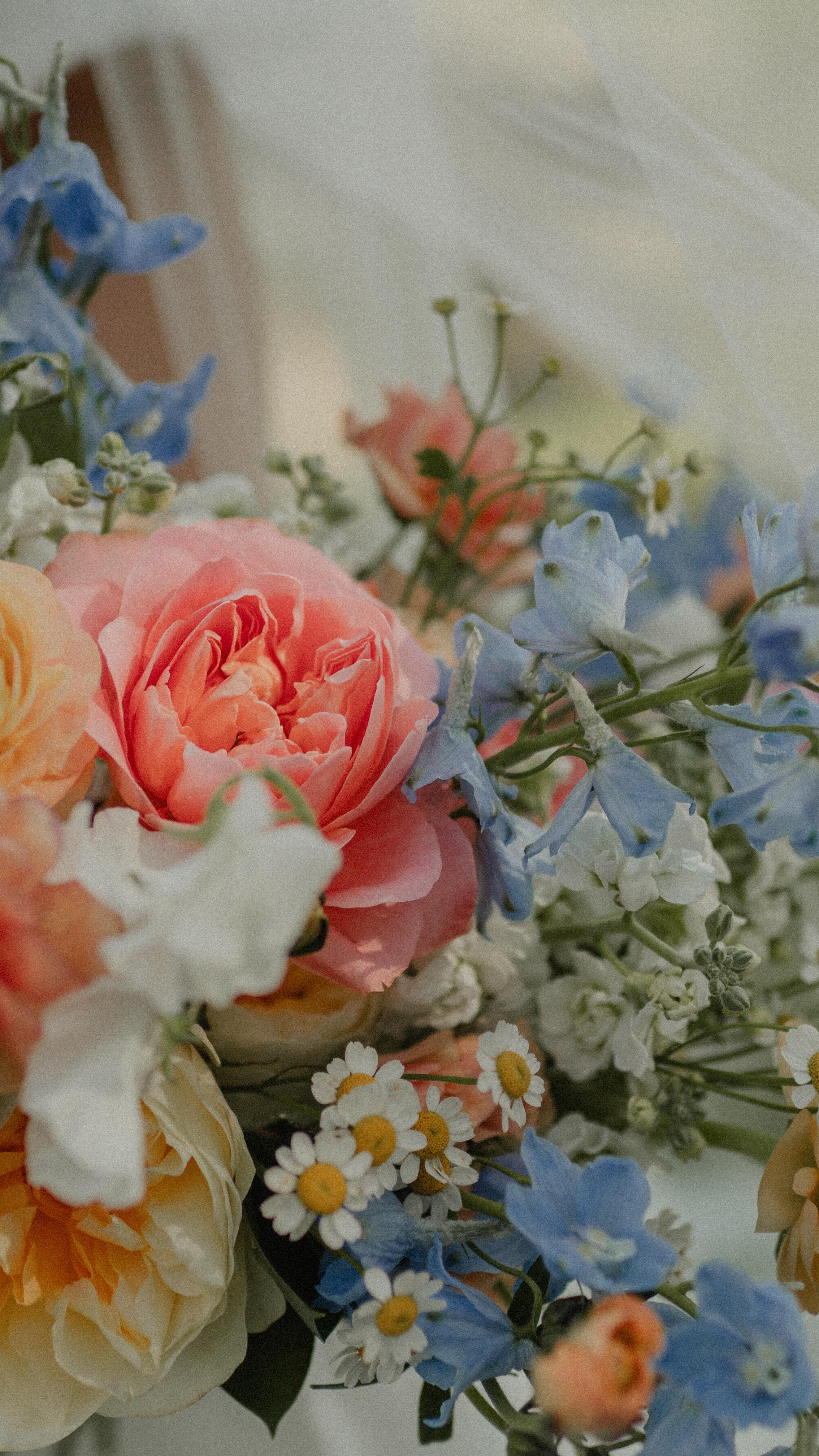 I might just be a little obsessed with yesterday
Sneak peek coming soon 💕
Venue/cordination @theolsonmansion
Photographer @savannamarleephotography
Videographer @flitter_films
Florals @stemsbystaci
Dj @grundulation
Catering @mamastortiniscatering
Dress @luxeandlacebridal
Suits @indochinoweddings @menswearhouse
Hmua @alignedbeautyco @faithfranz_bridal
Treat carts @Fortitudecoffeecart @batch3icecream