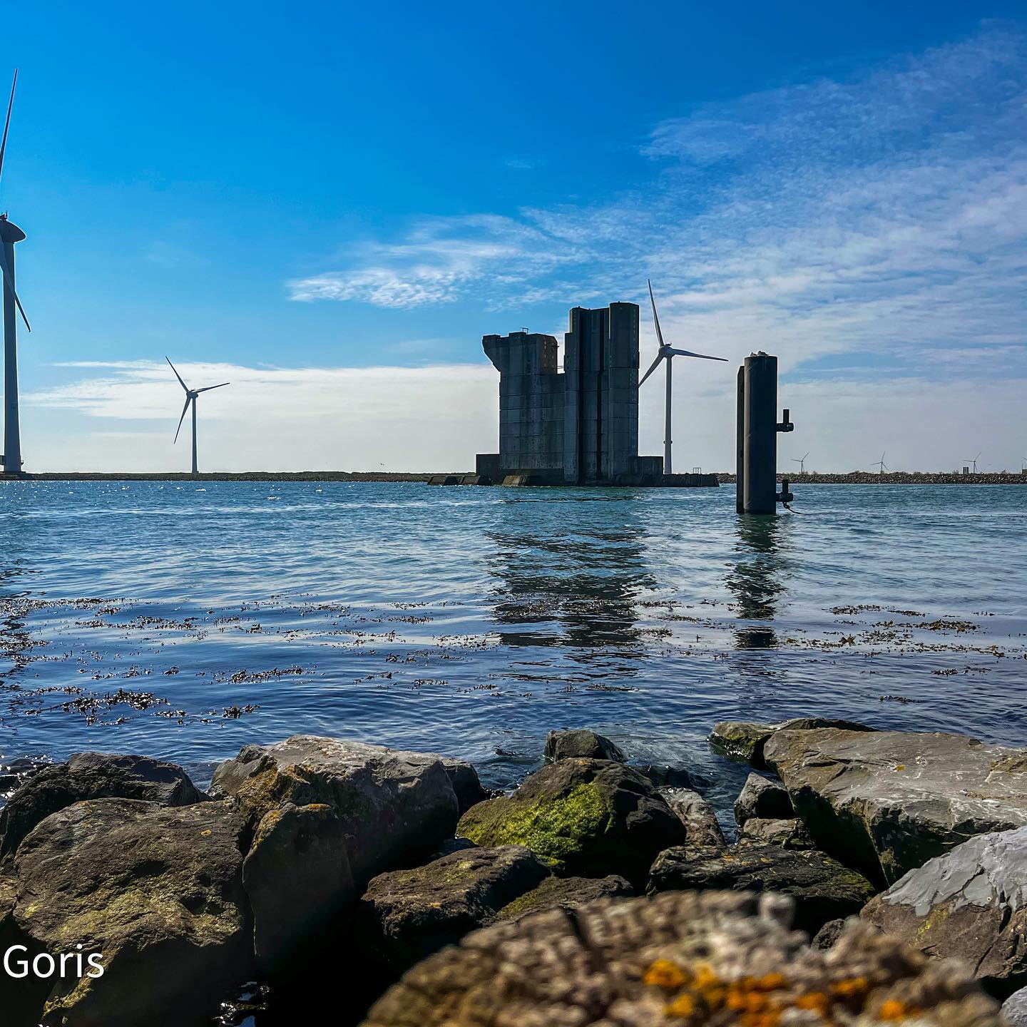 Create your own happy times. Simple things make me click 📸 clicks make me happy. #sun #water #view #Holland #netherlands #aquarium #family #mobilephotography #lightroom