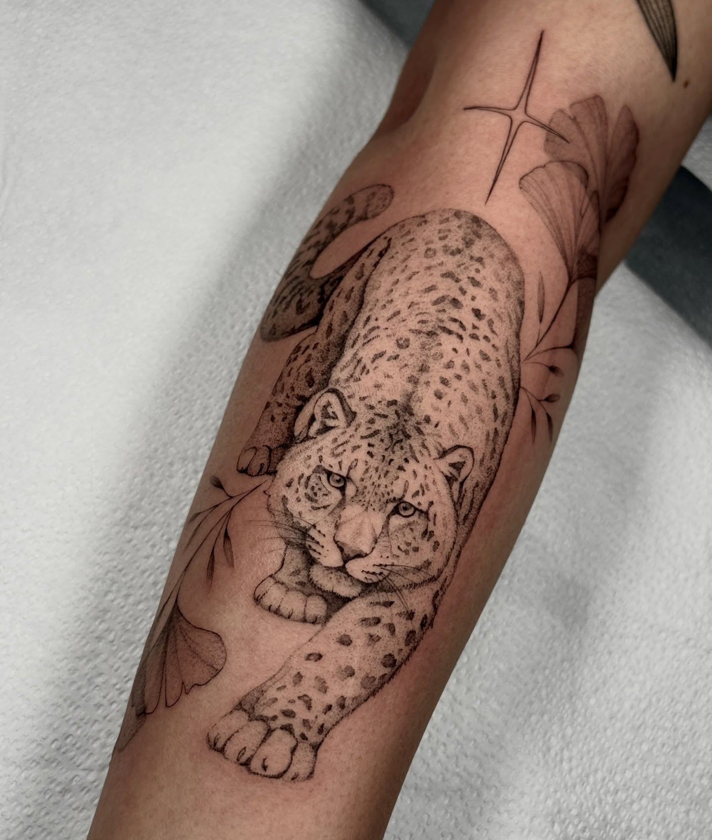 Snow leopard tattoo for Kiran ✨🐆 I love doing the delicate shading and texture on animals like this. Thank you!
•
#tattoo #coloradotattoo #bouldertattoo #leopardTattoo #finelineTattoo