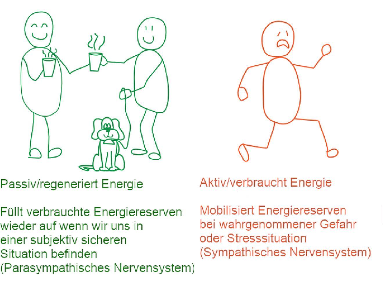 Stress auf der Arbeit, Müdigkeit nach dem Essen, Probleme beim Ein- oder Durchschlafen sind alles Situationen, mit denen viele Menschen täglich umgehen müssen. Doch woher kommen diese Reaktionen unseres Körpers und was will er mir damit sagen? Und wieso ist das für meine Symptomatik relevant? Diese Fragen möchten wir im heutigen Blogpost über euer vegetatives Nervensystem klären.
Falls ihr weitere Fragen habt, könnt ihr uns jederzeit gerne in der Therapie, via Mail oder Direct Message darauf ansprechen
www.physioteam-horgen.ch/post/vegetatives-nervensystem
#physioteam#physicaltherapy#nervoussystem#restanddigest#fightorflight#regeneration#stress#wimhof#breathing#exercise