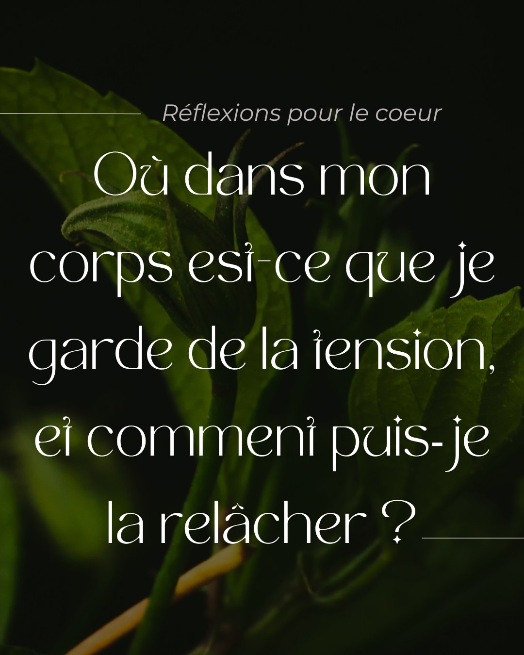 Prendre conscience des tensions corporelles aide à restaurer fluidité et confort dans le corps. 🤍
//
Noticing bodily tension helps restore flow and ease within the body. 🤍
#bodyawareness #tensionrelease #mindbodyconnection #somaticwellness #holistichealth #montrealwellness #mtlselfcare #slowliving