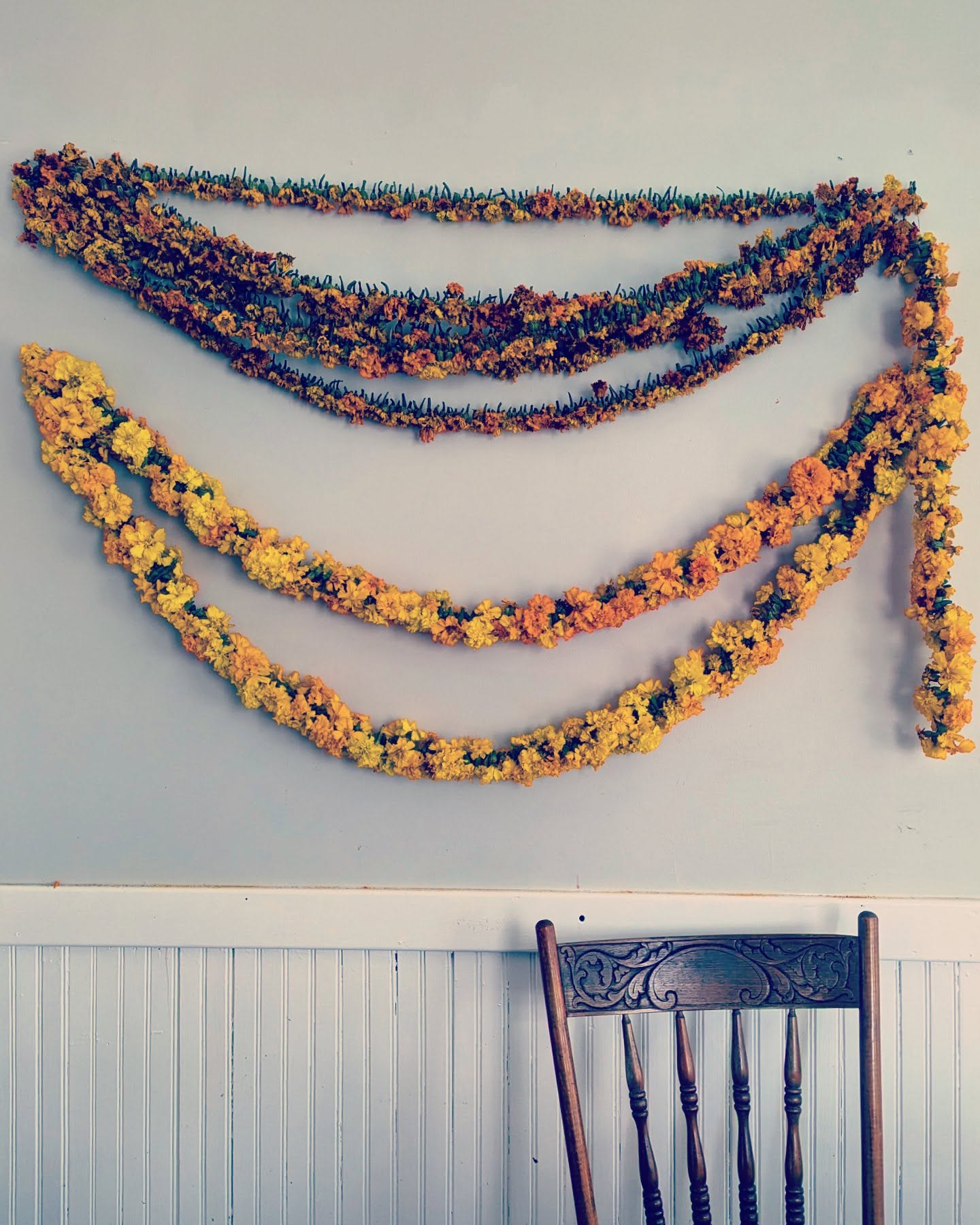 Likely the last harvest of marigolds hung to dry today. Saving summer color to get through stick season.
...
#homesteading #homesteadinglife #homestead #homesteadlife #natural #naturaldye #naturaldyeing #naturalremedies #marigold #calendula #farmhouse #farmhouse #farmhousestyle #vintagefarmhouse #rustic #cottagecore