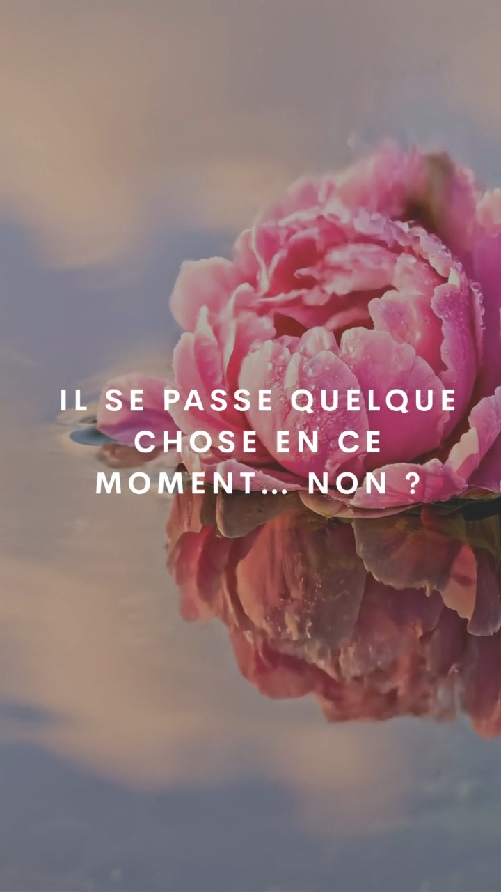 🌼 Le printemps marque un renouveau 🌼
La nature s’éveille… et notre corps aussi.
Fatigue, émotions, besoin de changement :�cette transition est naturelle.
En médecine chinoise, cette saison est liée à la circulation de l’énergie.
🌿 C’est le moment idéal pour relancer en douceur, s'alléger et se reconnecter à ses besoins.
Et si vous suiviez le rythme du vivant ?
Qu'est-ce qui change pour vous ? Dites-le nous en commentaires.
(Re)Connectez-vous à votre corps et votre esprit, les praticiens Évoléoz vous accompagneront toute cette belle saison qu'est le Printemps.
Je suis Christel Bellier, fondatrice et dirigeante d’Évoléoz - Contactez-moi au 06 80 25 09 59 - contact@evoleoz.fr - evoleoz.fr
#Printemps2026 #SaisonDesFleurs #ÉveilDeLaNature #renouveauprintanier