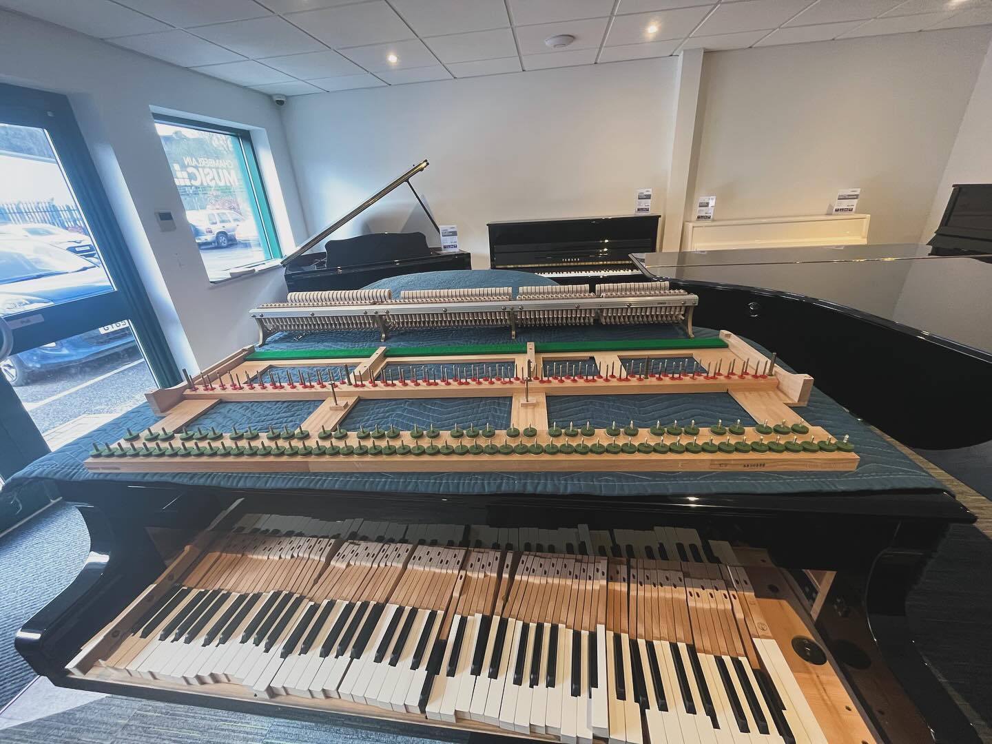 In celebration of sending off my 440th invoice on my new accounting software… here are some snaps of recent events! This trade is weird and wonderful and it feels great to be a part of it and also to be appreciated in it. Thank you to everyone who has trusted me and/or helped me climb the rather daunting ladder (twas in the beginning anyway, but now every opportunity is exciting and not scary, although thats taken a good few years). I wish everyone in the trade a prosperous tax year!