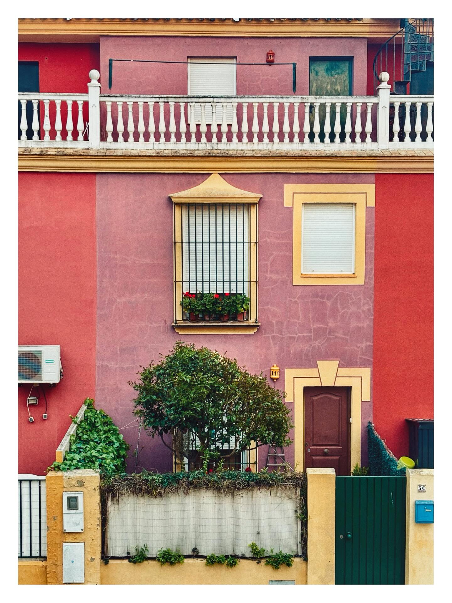 Morning walk. #livethelifeyoulove