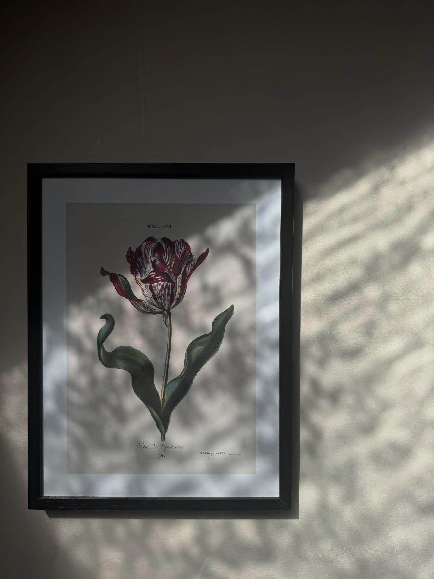 March-ing out of Winter. A little life catch-up 📸