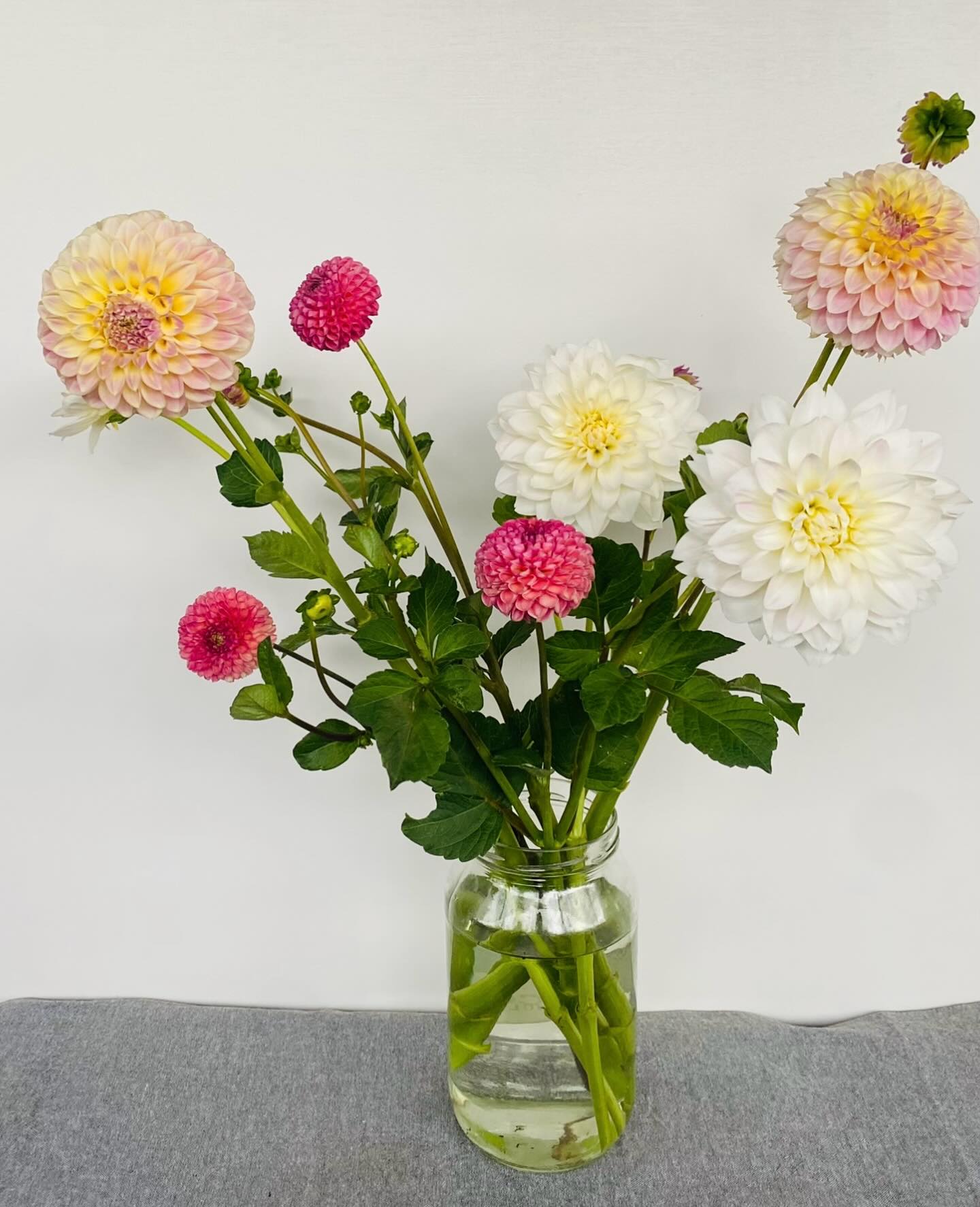 ✨Dahlias ✨
Little bit of bathroom botanical bling.
