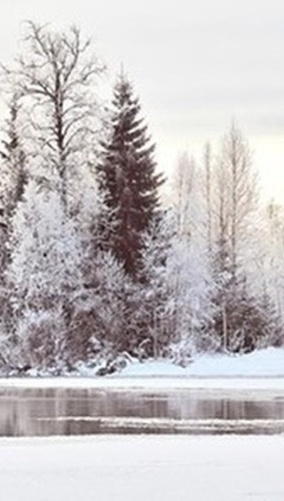 IMAGINE stepping into a place where time slows down, and the world outside gently fades away.
At Lillehammer Spa, you are welcomed with warmth from the very first moment — soft, warm towels embracing your skin, caring hands ready to guide you into deep relaxation, and an atmosphere designed to soothe both body and mind.
Every detail is created with heart. Skilled therapists care for you with genuine compassion, gently releasing tension and easing tired muscles, allowing your entire body to let go. Surrounded by beautiful, peaceful surroundings, you are invited to simply breathe... and pray.
From the moment you arrive, you are treated like royalty — cherished and cared for — until the very last second of your visit.
And just as you begin to softly open your eyes, floating between rest and reality, a final surprise awaits: a delicate serving placed before you, inviting you to stay in the moment just a little longer... while your therapist remains by your side.
Then, as you step back outside and look around, something shifts.
You pause… and think, wow — that felt like heaven.
Your body feels lighter, your mind clearer — as if you have been reborn, in both body and soul.
På Lillehammer Spa tilbyr vi en virkelig personlig opplevelse – skapt bare for deg, eller for deg og noen du bryr deg om. Her handler alt om tilstedeværelse, varme og ekte omsorg. Enten du kommer alene eller deler øyeblikket med en du er glad i, vil du føle deg verdsatt og fullstendig ivaretatt i en rolig og luksuriøs atmosfære. Du vil føle deg som en dronning eller konge.
👑 You will feel like a queen or a king.👑
An experience you will long for — again and again.
@followers #followers #lillehammerspa