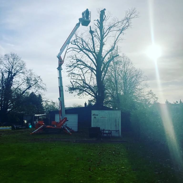 Busy start of the week for us
Here is a few before and After photos of what we been getting up to so far this week.