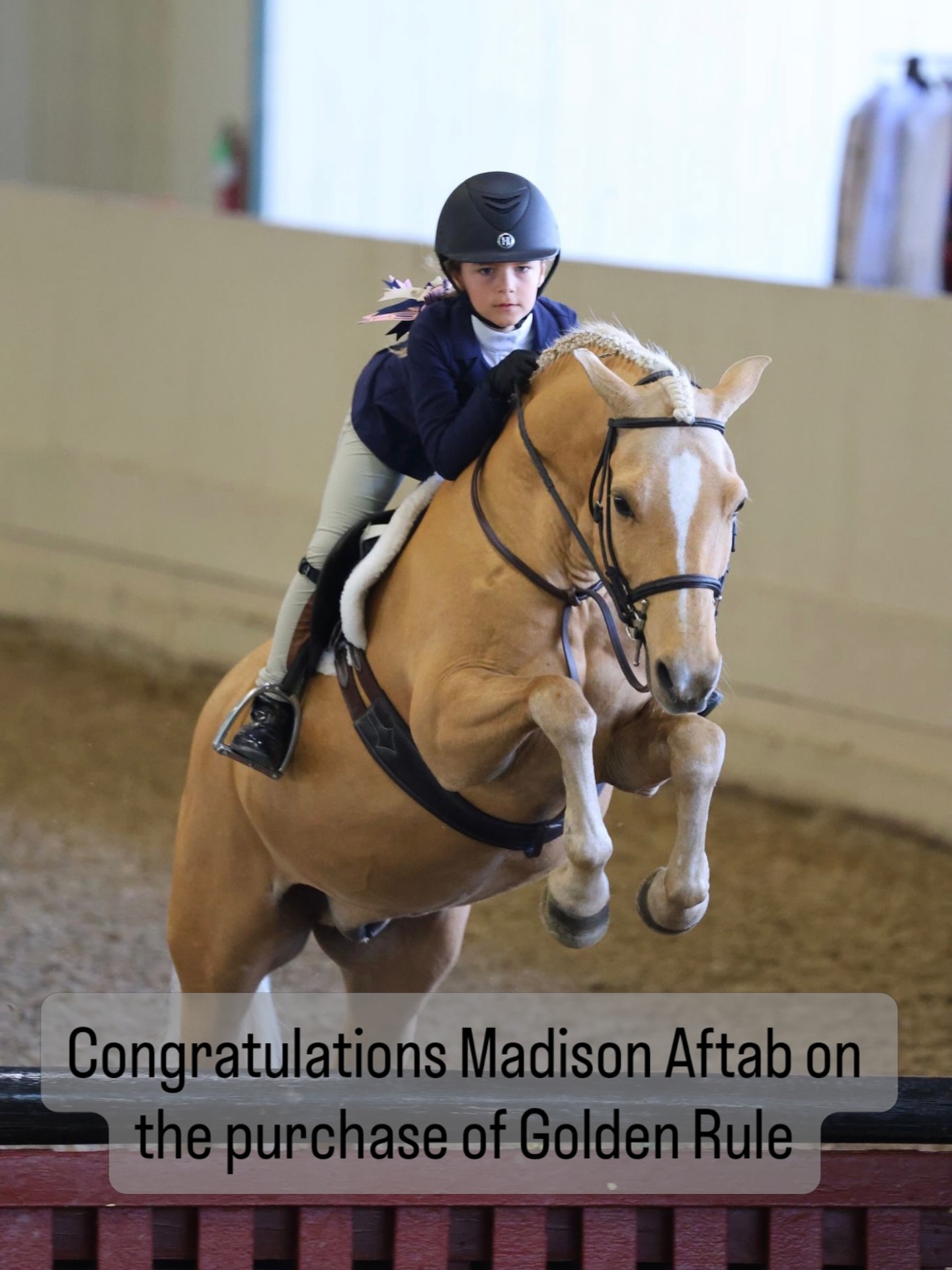 We are so excited to announce that Madison Aftab is now the proud owner of Golden Rule! This amazing little team is impressing the crowds… Keep shining!🤩