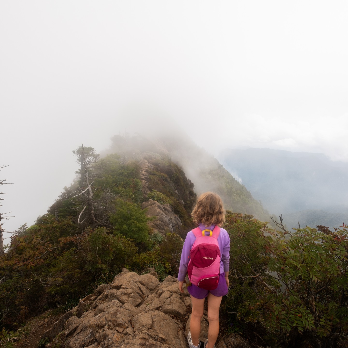 Mt. Ishizuchi is not just a mountain—it is a sacred deity. 🏔️✨
Climbing the highest peak in western Japan is more than a hike—it’s a spiritual journey. As you ascend, you might just feel your spirit rise to new heights.
Le mont Ishizuchi n’est pas seulement une montagne—c’est une divinité sacrée. 🏔️✨
Gravir le plus haut sommet de l’ouest du Japon est bien plus qu’une randonnée—it’s un voyage spirituel. À chaque pas, votre esprit pourrait bien atteindre de nouveaux sommets.
#ExploreSetouchi #SamuraiJourney #SetouchiBreweryTour #SetouchiSamurai #JapaneseBrewingArt #SamuraiAndNature #HeritageAndFlavor