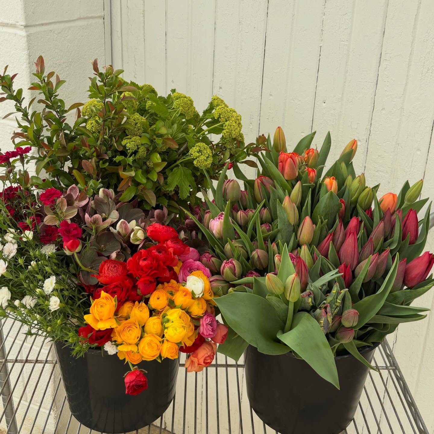 Nearly every day for the past two weeks, Erin has sent me Party Bucket orders from you all. One Dream Customer even moved her party date to when buckets are available!! Showers, bouquet making tea parties, holiday centerpieces, nurse appreciation events, graduations are just a few of the celebrations that will include Roots flowers this season.
Truth: every order that comes to us is a little affirmation right to my soul! You keep this farm thriving with your support! Overflowing gratitude to each of you for trusting in the seed and the future bloom. We can’t wait to get these stems into your hands and into your tables💚