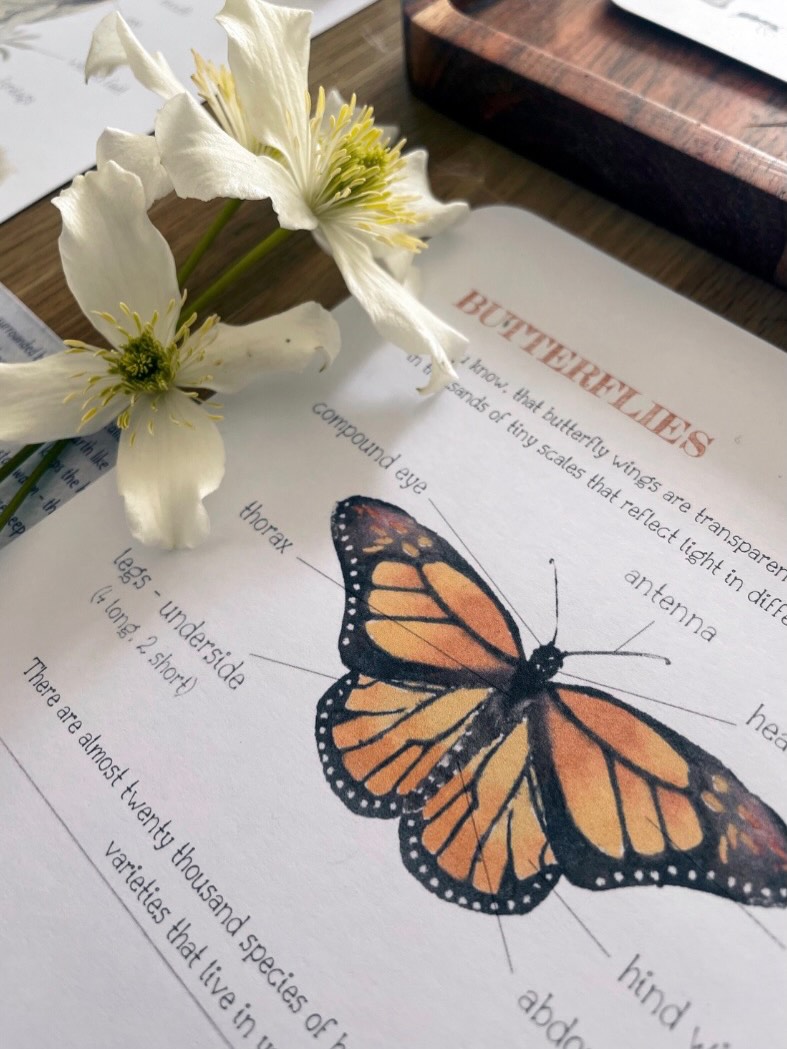 Spring is here and it’s the perfect time to get outdoors and explore the world that is beginning to awaken.
.
My outdoor journal is on offer for just £1.00 - today only! #springhassprung #outdoorjournal #learningresources #specialoffer