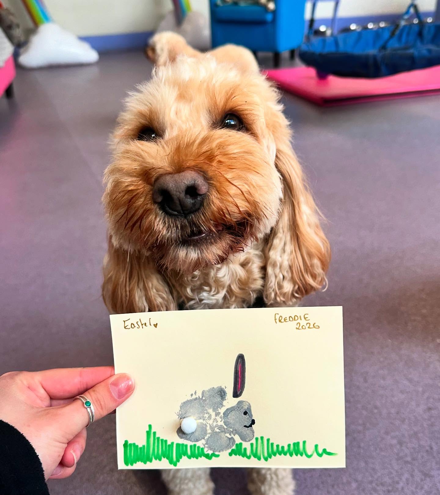 Yappy Easter Pawtraits💙🐣🐰 @pam.sherlock.9
