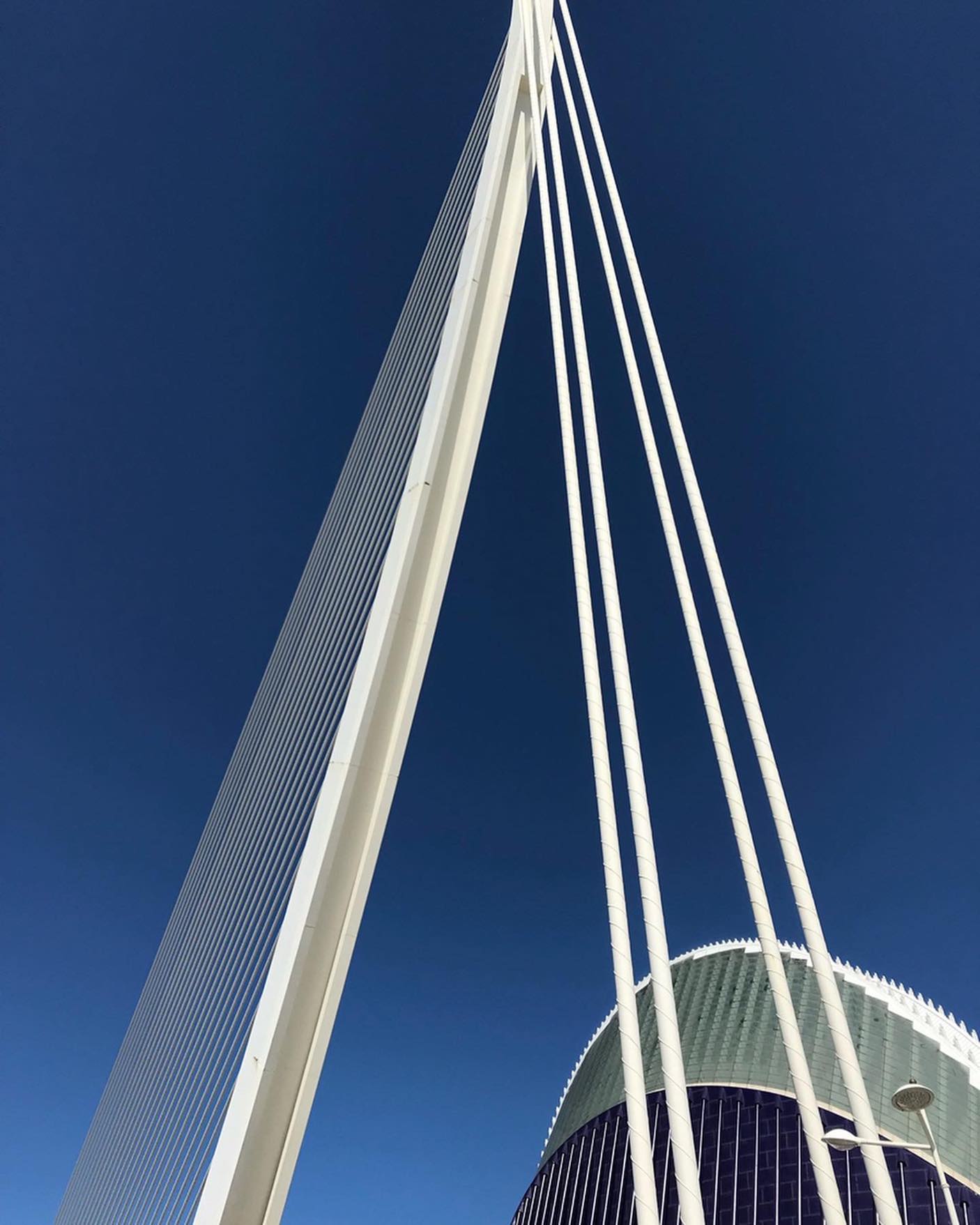 Do you know which Spanish architect designed these two beautiful structures in #NYC and #Valencia?
.
Interesting Fact: The Oculus Italian white marble is re-honed every year for $50,000
——
#TERSOMR #architecture #interiordesign #NYC #StoneSupplier #architect #Marble #NaturalStone #LuxuryMarble #Design #Valencia
