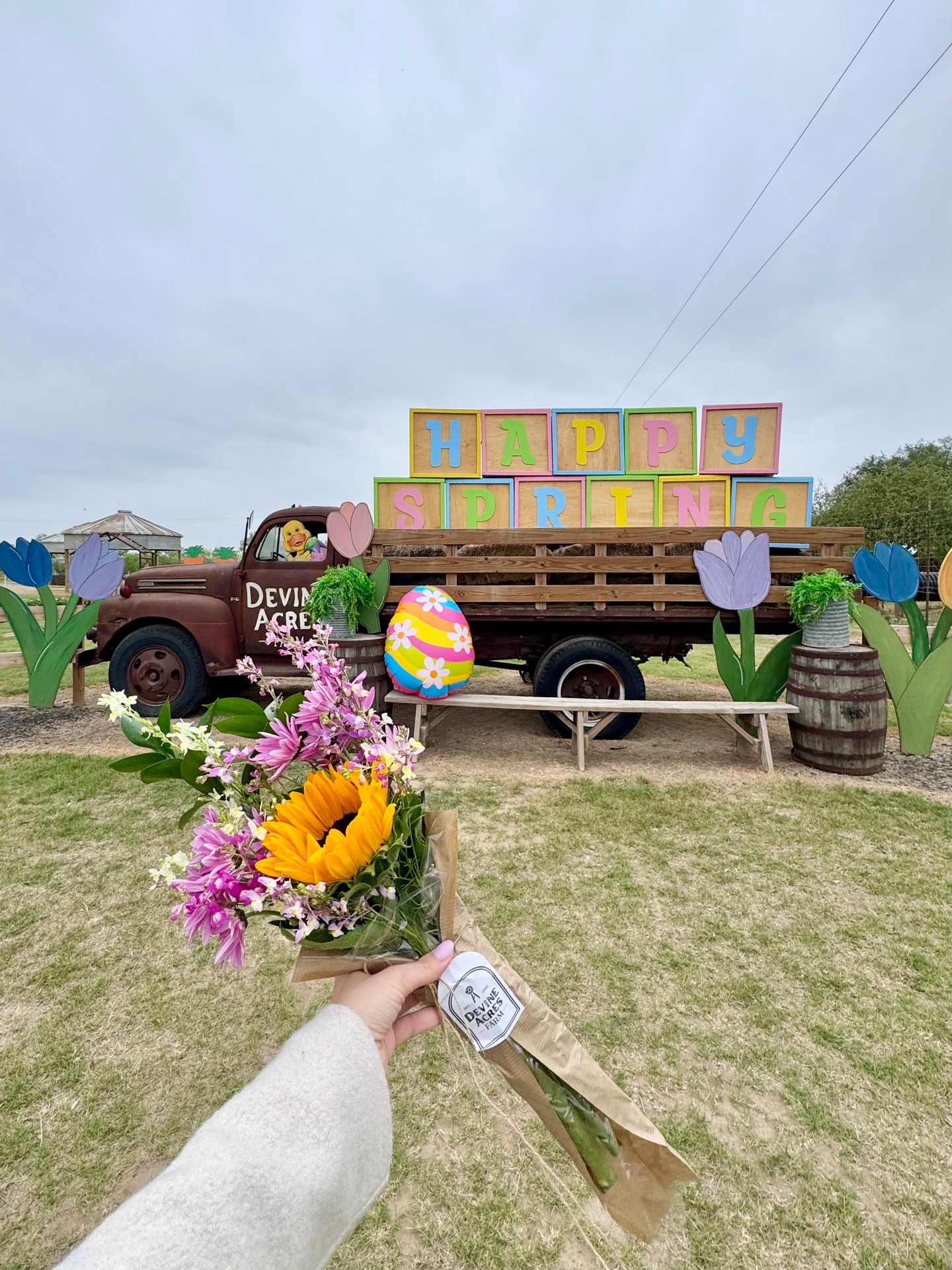 Thank you to everyone who came out to opening weekend of Spring CountryFest! We are open Good Friday & Saturday for our final days of Easter activities. 🐰💐
🌼 Stunning Flower Fields
🐰 Easter Bunny Visits
🌈 Adorable Spring Photo Ops
🎣 Fishing Pond
🏁 Goat Races
🎶 Live Music
🍩 Donut Eating Contest
🍕 Festival Food & Snacks
🍦 Desserts & Coffee
🍷 Wine, Beer, Margarita Flights
🏈 Ball Zone, Playgrounds, Attractions
🎨 Dino Blaster Paintball
🛍️ Gift Shop
💐 Bouquet Bar
🚜 Hayrides
🚂 Cow Train
🐣 Baby Animals
💛 And More!
Good Friday & Saturday: 10am - 5pm
Plan your visit: devineacresfarm.com