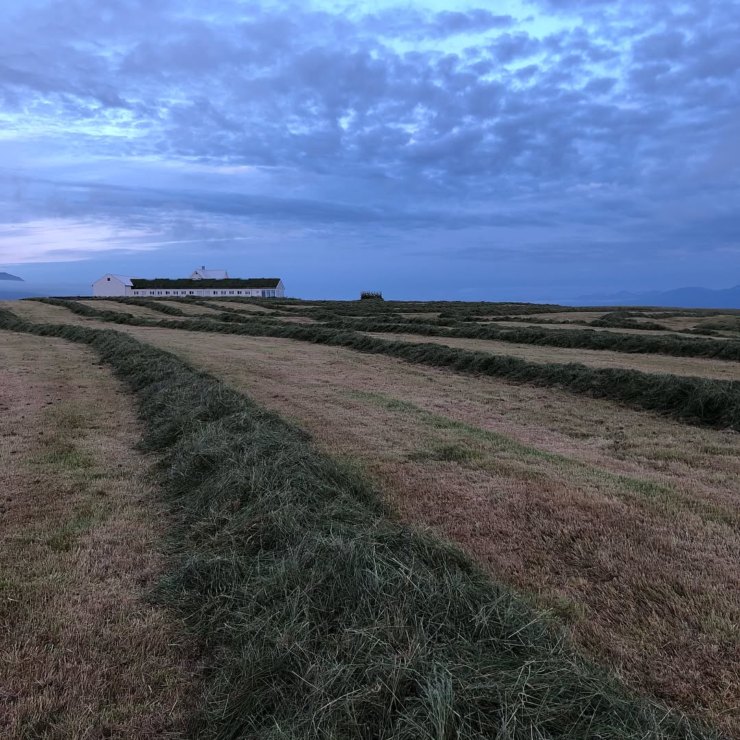 The last harvesting of the summer - the home field. #baerartcenter