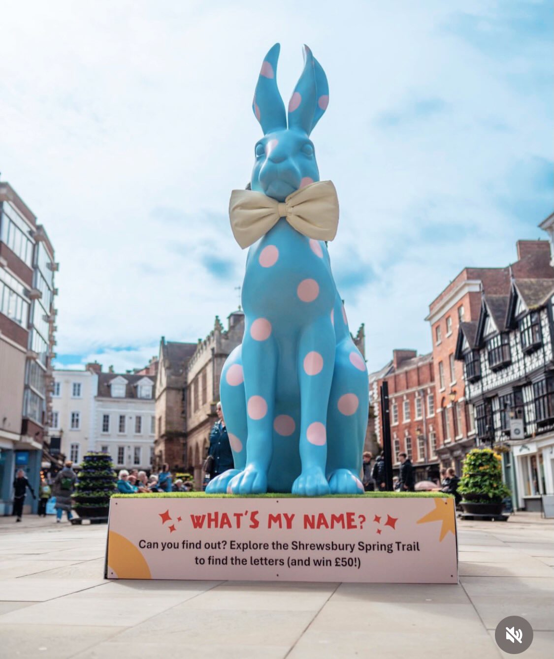 We’ve partnered with @originalshrews this Easter holidays! 🐰
Have you spotted the giant rabbit in the Square? But what’s his name…? 👀
Pick up a map from @shrewsburymuseum or us, explore the town, find the letters hidden across all 9 shops, and solve the anagram. Enter online for a chance to win a £50 voucher to spend in Shrewsbury shops.
✨ BONUS ✨We’re hosting a FREE drop-in art session at Swan Hill Studios tomorrow — all ages welcome!
The first 10 people through the door who tell us the correct answer will win a beautiful handmade wooden bird 🦜
Join us for coffee, cakes, and lots of fun, free activities.Open 10–4pm 🥚
See you tomorrow!