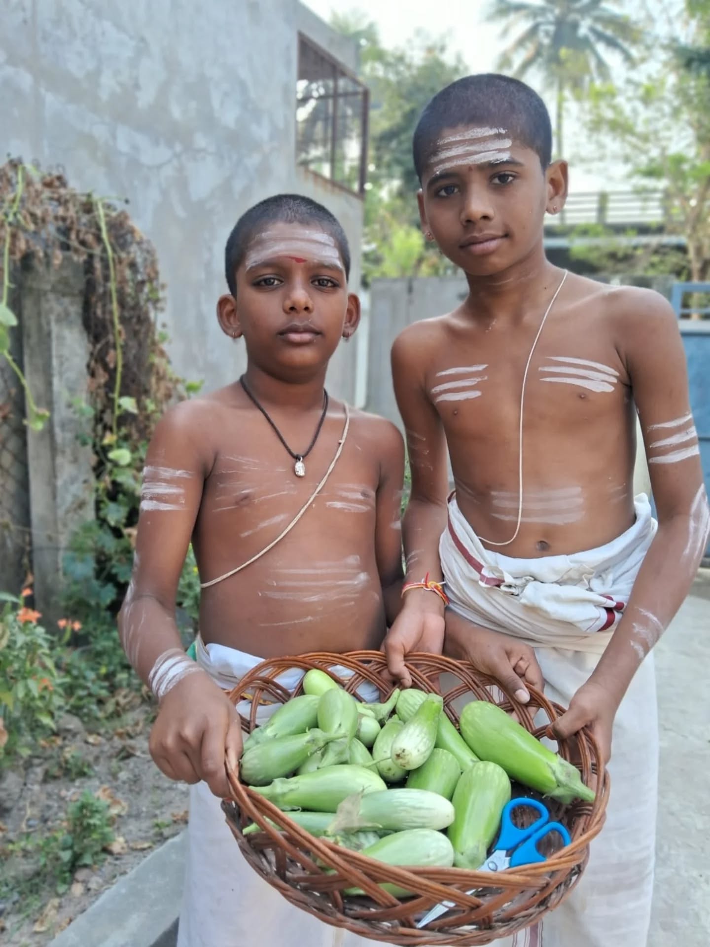 Gardening activities of our students at Sri Kamakoti Krishna Yajurveda Smartha Pathasala Voolapalli
#kanchikamakoti #integratedpathasalas #thirupathi #periyava #kanchimutt