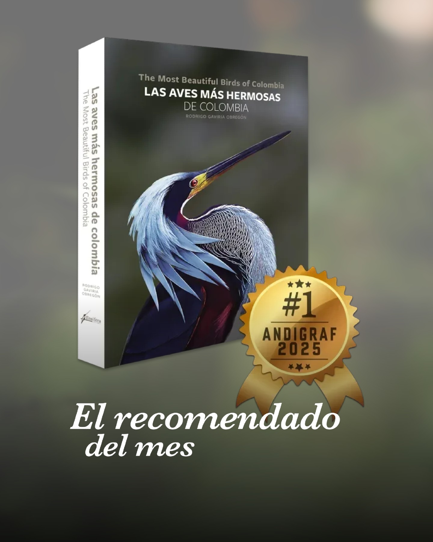 𝗙𝗼𝘁𝗼𝗴𝗿𝗮𝗳í𝗮 𝗱𝗲 𝗮𝗹𝘁𝗼 𝗻𝗶𝘃𝗲𝗹 𝗮𝗿𝘁í𝘀𝘁𝗶𝗰𝗼
Rodrigo Gaviria es reconocido por capturar:
Detalles de plumaje con precisión técnica
Posturas naturales y comportamiento real
Fondos limpios que resaltan color y forma
⠀
𝗖𝗲𝗹𝗲𝗯𝗿𝗮 𝗲𝗹 𝗽𝗮í𝘀 𝗺𝗮́𝘀 𝗯𝗶𝗼𝗱𝗶𝘃𝗲𝗿𝘀𝗼 𝗲𝗻 𝗮𝘃𝗲𝘀 𝗱𝗲𝗹 𝗺𝘂𝗻𝗱𝗼
Este libro no es un listado técnico; es una curaduría estética de las especies más impactantes visualmente.
Eso lo hace diferente a una guía científica tradicional.
⠀
𝗚𝗲𝗻𝗲𝗿𝗮 𝗰𝗼𝗻𝗰𝗶𝗲𝗻𝗰𝗶𝗮 𝗮𝗺𝗯𝗶𝗲𝗻𝘁𝗮𝗹
Mostrar belleza crea conexión.
Y la conexión genera conservación.
Cuando ves de cerca la textura de un plumaje o la intensidad de un color andino o amazónico, entiendes por qué proteger ecosistemas como:
⠀
▫️Bosques nublados
▫️Amazonía
▫️Chocó biogeográfico
▫️Andes colombianos
⠀
𝗡𝗼 𝗲𝘀 𝘀𝗼𝗹𝗼 𝗽𝗮𝗿𝗮 𝗼𝗿𝗻𝗶𝘁𝗼́𝗹𝗼𝗴𝗼𝘀
Este libro está pensado para:
✔ Amantes del arte
✔ Viajeros
✔ Coleccionistas
✔ Personas que valoran la biodiversidad colombiana
⠀
Cotización sin costo: ☎(604) 4237774
Visita nuestra página web www.terra.net.co
⠀
Atendemos Vía las Palmas, Escobero, Oriente Antioqueño y Medellín.
⠀
#TerraPradosyJardines #MantenimientodeJardines #Biodiversidad #Animales #Aves