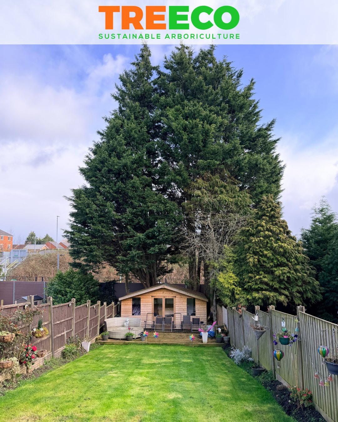 2 massive Leylandii — reduced safely, no compromises. 🌲✂️
Days turned into nights on this one.
Overhanging the railway meant zero room for error — every limb rigged and sent down via zip lines with full control.
Precision. Planning. Execution.
This is what it takes when the stakes are high.
#ArboristLife #TreeSurgery #RailWork #Rigging