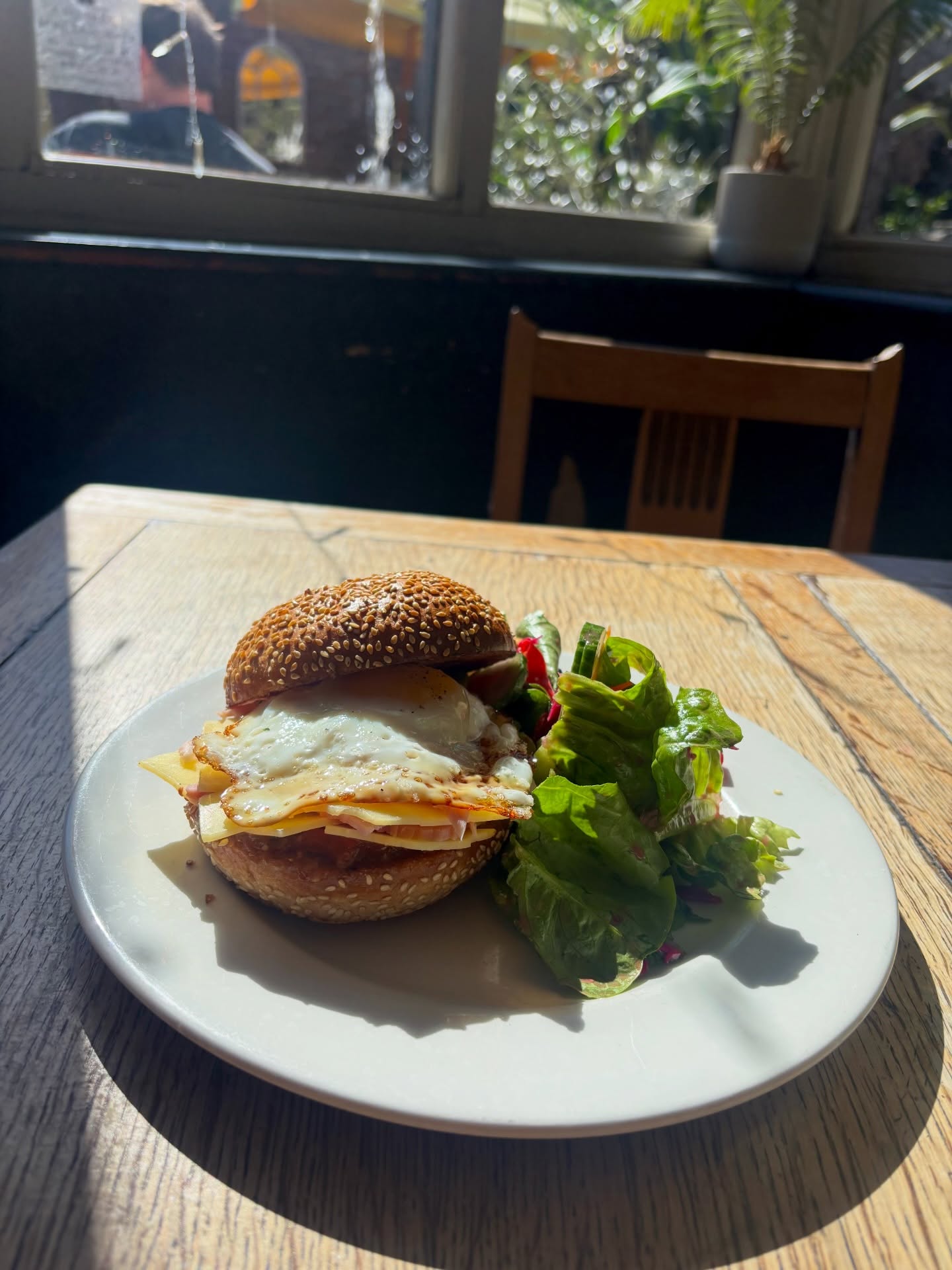 Cheddar Cheese, Ham and Fried Egg Bun 🍳