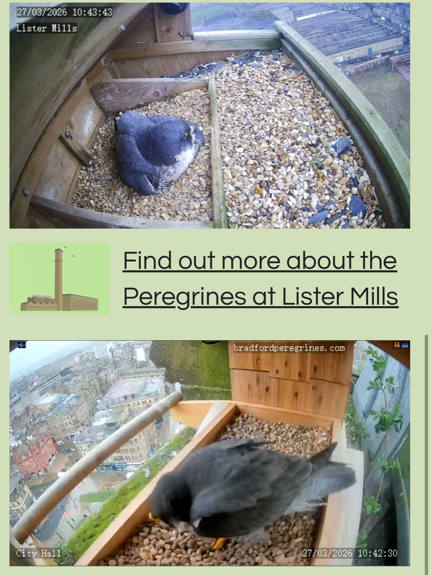 Finally, the perfect website for your second screen….