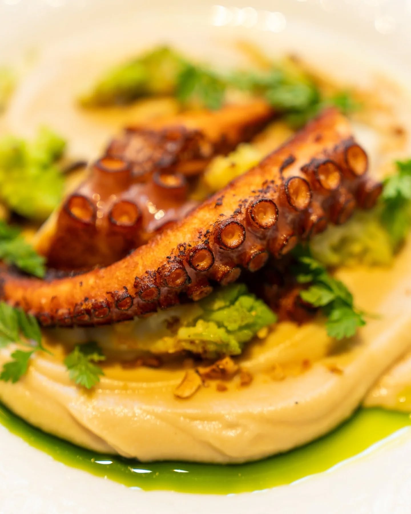 I když to tak venku moc nevypadá, my si italskou atmosféru umíme přičarovat 😉✨
Na menu opět najdete oblíbenou chobotnici, tentokrát s květákovým pyré, zelenou přízdobou z romanesca a křupnutím lískového ořechu. 🐙
Primavera! Tohle jídlo přímo křičí jarem ve Středomoří.
Tak se stavte pro trochu toho slunce na talíři. ☀️
#bistrocentral #bistroolomouc