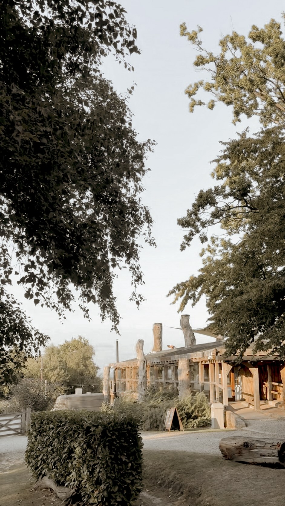 WOW… I could not get over the view from Lauren’s Ecstatic Dance Class yesterday 😍. If you want to let everything go and truly relax, this is the class for you 🧘♀️🧘🏻♂️🌳.
You can find Lauren’s classes @wellzenshop ✨
Content: @socialdiaries.uk
Instructor: @laurendyeyoga
Venue: @kingdom_pen @flourishwellnessuk
#ecstaticdance #wellness #relaxing #freedom #flourishwellness
