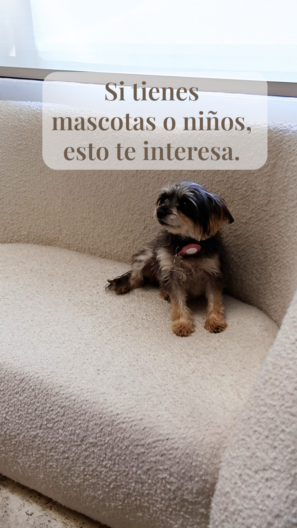 Si tienes mascotas o niños, esto te interesa. 🐶 🐱🧒
Las telas waterproof son ideales para espacios donde necesitas resistencia.
Repelen líquidos, son fáciles de limpiar y mantienen su apariencia por más tiempo. 💧
Funcionan muy bien en exteriores o zonas de alto uso. 🏡
📍 Visítanos en nuestro showroom en Milenio III o agenda tu cita para conocer todas las telas disponibles.
#TelasWaterproof #Interiorismo #PetFriendly #CasaDecoracion