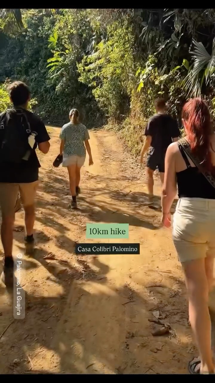 🥾🏔️🍀 ¿Una alegre caminata de 10 km por la Sierra Nevada de Santa Marta con Casa Colibri Palomino? ¡Reto aceptado!
🥾🏔️🍀A joyful 10km hike through the Sierra Nevada de Santa Marta with Casa Colibri Palomino? Challenge accepted.
📆Todos los sábados/every Saturday
#CasaColibriPalomino #Senderismo #Naturaleza #Caminata
#RutasDeMontaña