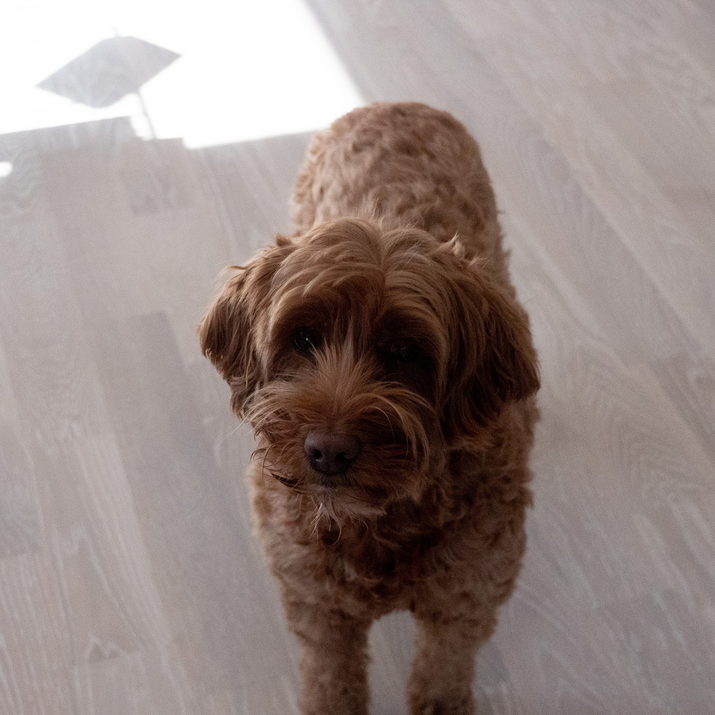 Idag befinner vi oss i Bunkeflo för att fotografera ett av våra senaste projekt.
Vi ser fram emot att snart kunna dela resultatet.
www.oresundsbyggentreprenad.se