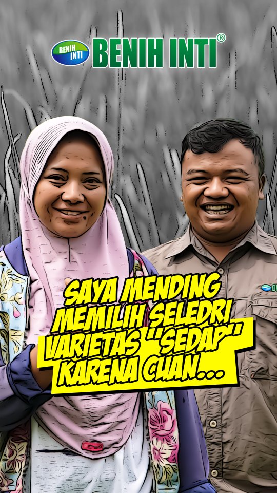 Ibu Sotin adalah seorang petani seledri yang berada di wilahah Dusun Gogik, Kec. Ngablak, Kab. Magelang.
Beliau bercerita tentang bahwa kepuasannya terhadap menanam Seledri varietas Sedap, bagaimana pengalaman ibu sotin selama menanam seledrinya? Tonton selengkapnya di channel youtube Benih Inti TV!🚀
.
#benihinti #petanimaju #petanisukses #panenmelimpah
