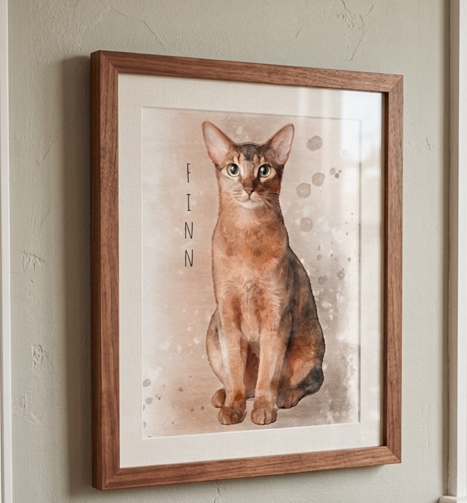 Swipe to see how it started!
#cats #cat #cats_of_instagram #photooftheday