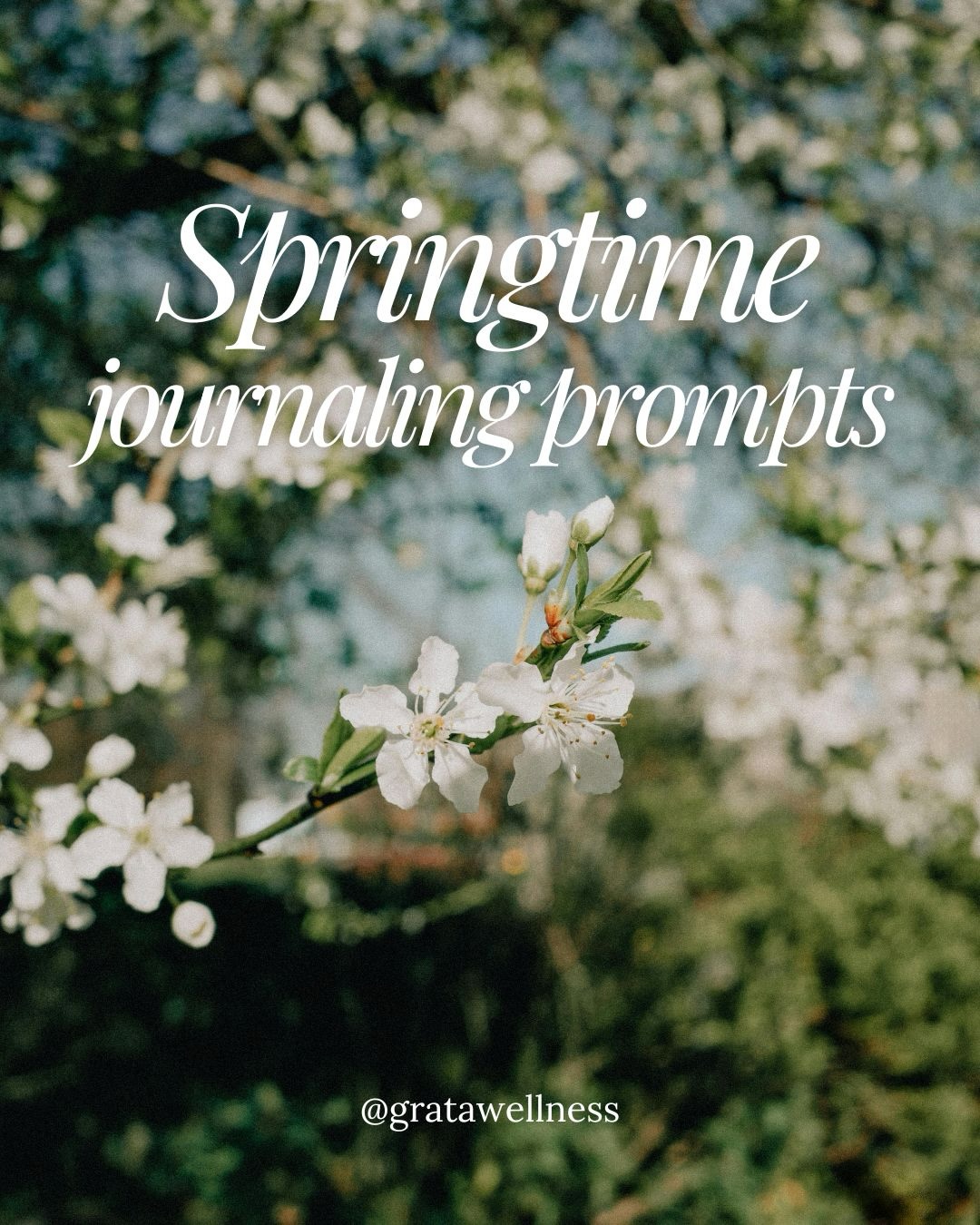 🌱Springtime Reflections🌱
Spring is a season of growth, renewal, and letting go. Take a moment this week to pause, reflect, and set gentle intentions for yourself!
🌸Use these prompts as your guide: what are you ready to release? Where can you slow down? What feels ready to bloom? Save this post for your next reflective moment!
#gratawellness #springreflections #journalingprompts #bloomwhereyouareplanted #selfreflection