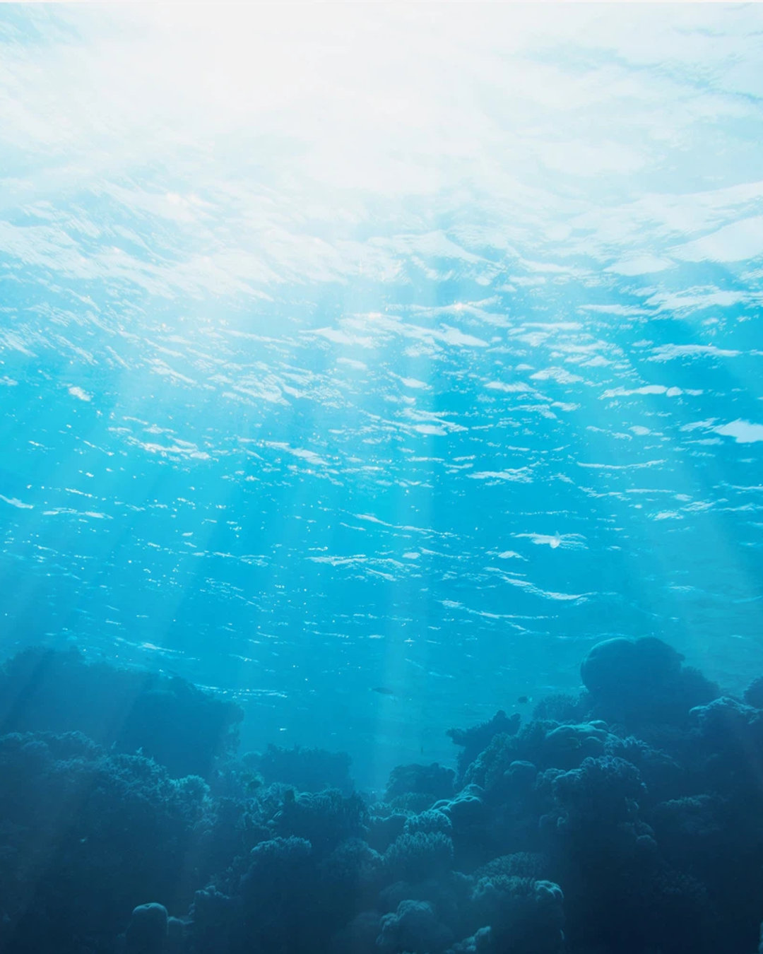 チネイザンプロジェクト通信vol.57
日本のUHTの認定ティーチャー、インストラクターがお届けするメルマガ
先週の記事をご紹介します。
兵庫県芦屋市のチネイザンティーチャー、小林祐子です。
今、私は伊勢志摩に来ています。
チネイザンやタオのワークと並行して、
長年学び続けているボディーワークのトレーニングに参加中です。
ちょうど昨年の同じ時期にもこの講座を受講していたのですが、
今年も引き続き「内臓」にフォーカスした内容。
より繊細に、より深く身体を感じ取る学びは、
チネイザンの施術にも確実に活きていきそうです。
そして今回滞在している場所は、
目の前に海が広がる素晴らしいロケーション。
休憩時間には、少し肌寒さを感じながらも、
思い切って海に入っています。
海で泳いだり、波に身体を委ねていると、
私たちの身体が水で出来ているということを
頭ではなく感覚として思い出すような、不思議な感じがあります。
波のリズムに包まれながら、
身体の内側にある水の動きにも意識が向いていく。
すると、内臓の動き、呼吸やエネルギーなど
微細な感覚がいつもよりもクリアに感じられるのです。
トレーニングで学ぶことと、自然の中での体験が重なって
「身体を感じる」ということの奥深さを改めて実感しています。
この感覚を大切に持ち帰り、
これからのセッションでも、
より本質に触れるような施術としてお届けしていきたいと思います。
https://www.taoistjapan.com/so/c6PqgDMDC?languageTag=en